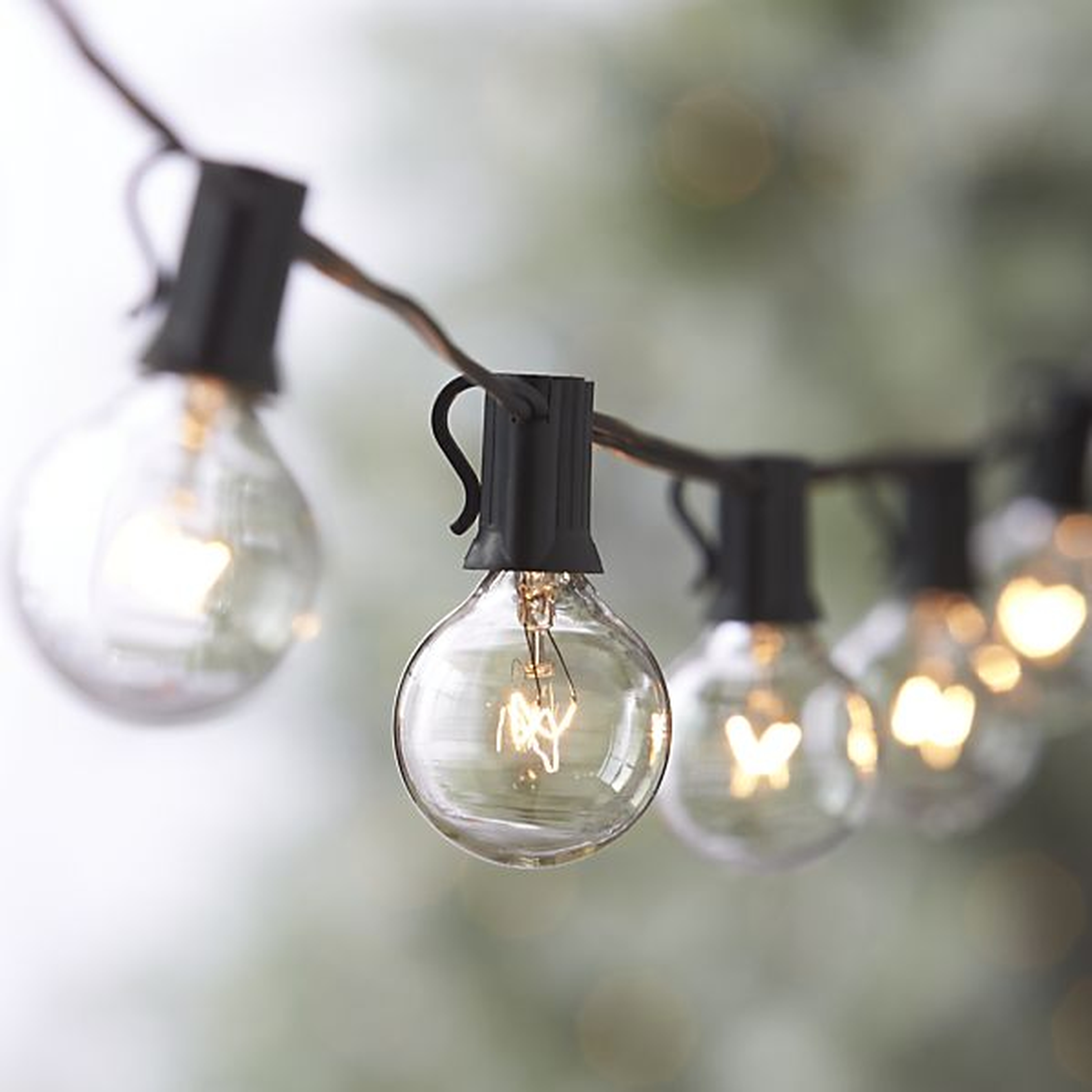 Globe String Lights - Crate and Barrel