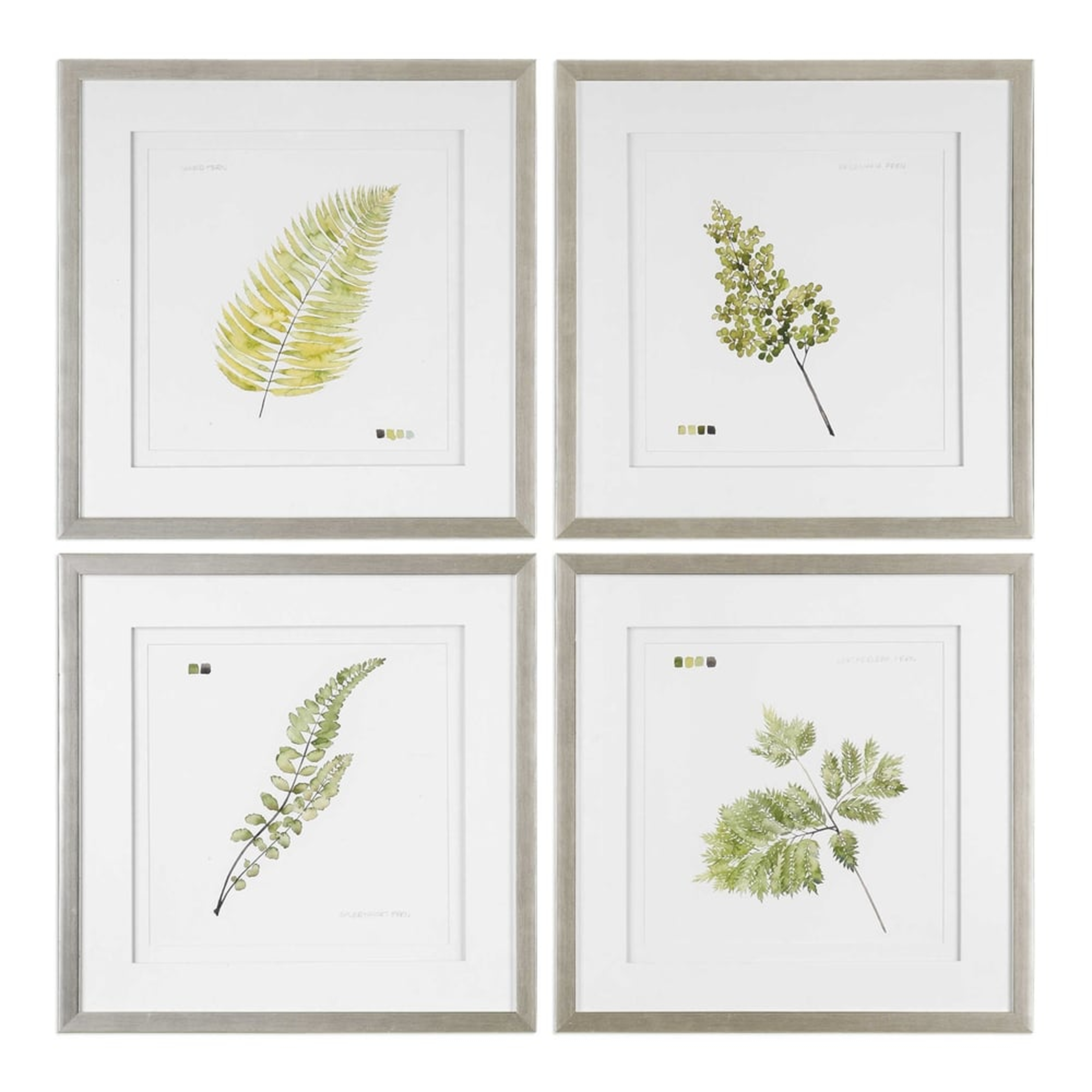 WATERCOLOR LEAF STUDY FRAMED PRINTS, S/4 - Hudsonhill Foundry