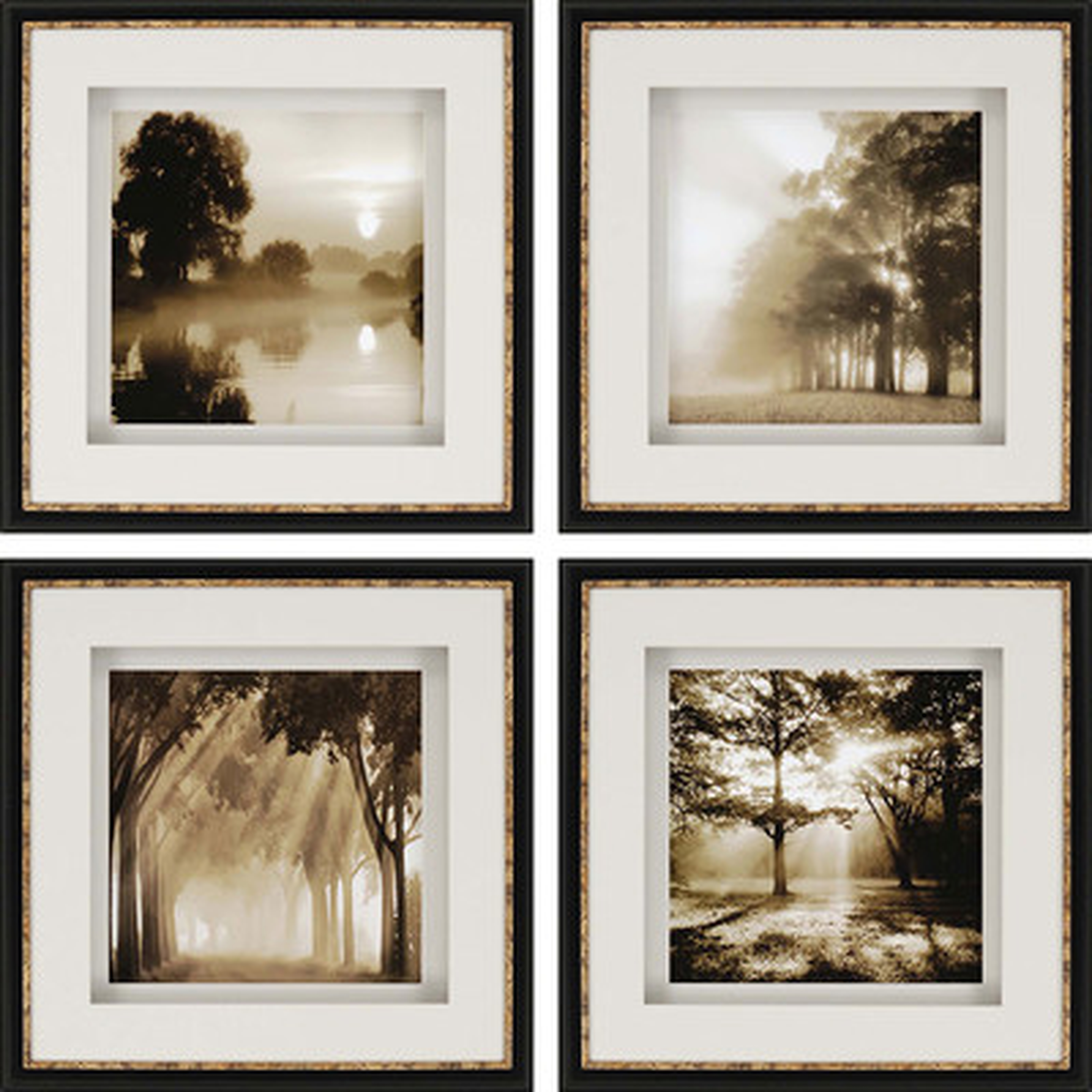 Reflections 4 Piece Photographic Print Set - 20'' H x 20'' W - Black and Gold Frame - Wayfair