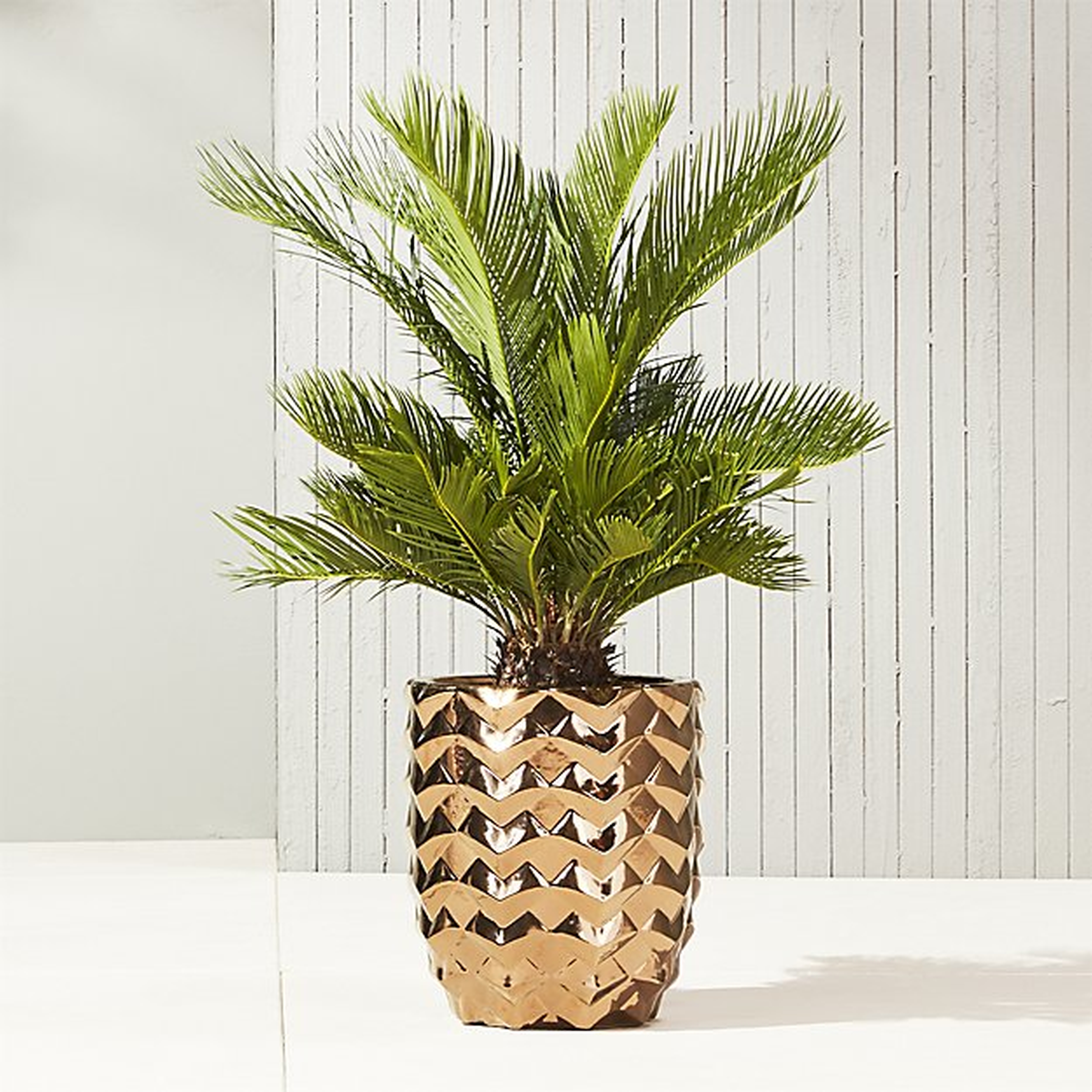riviera copper planter - CB2