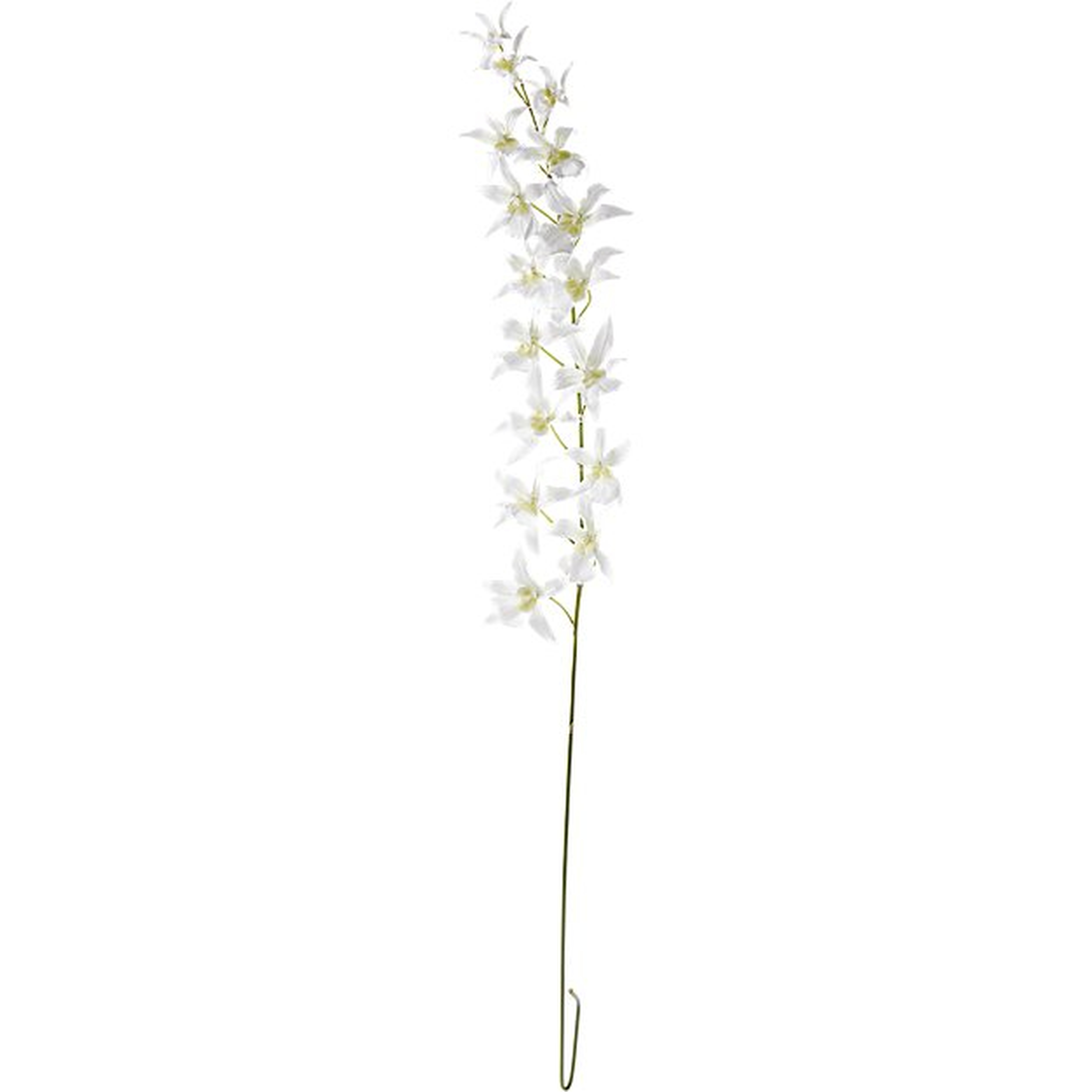faux spider orchid stem - CB2