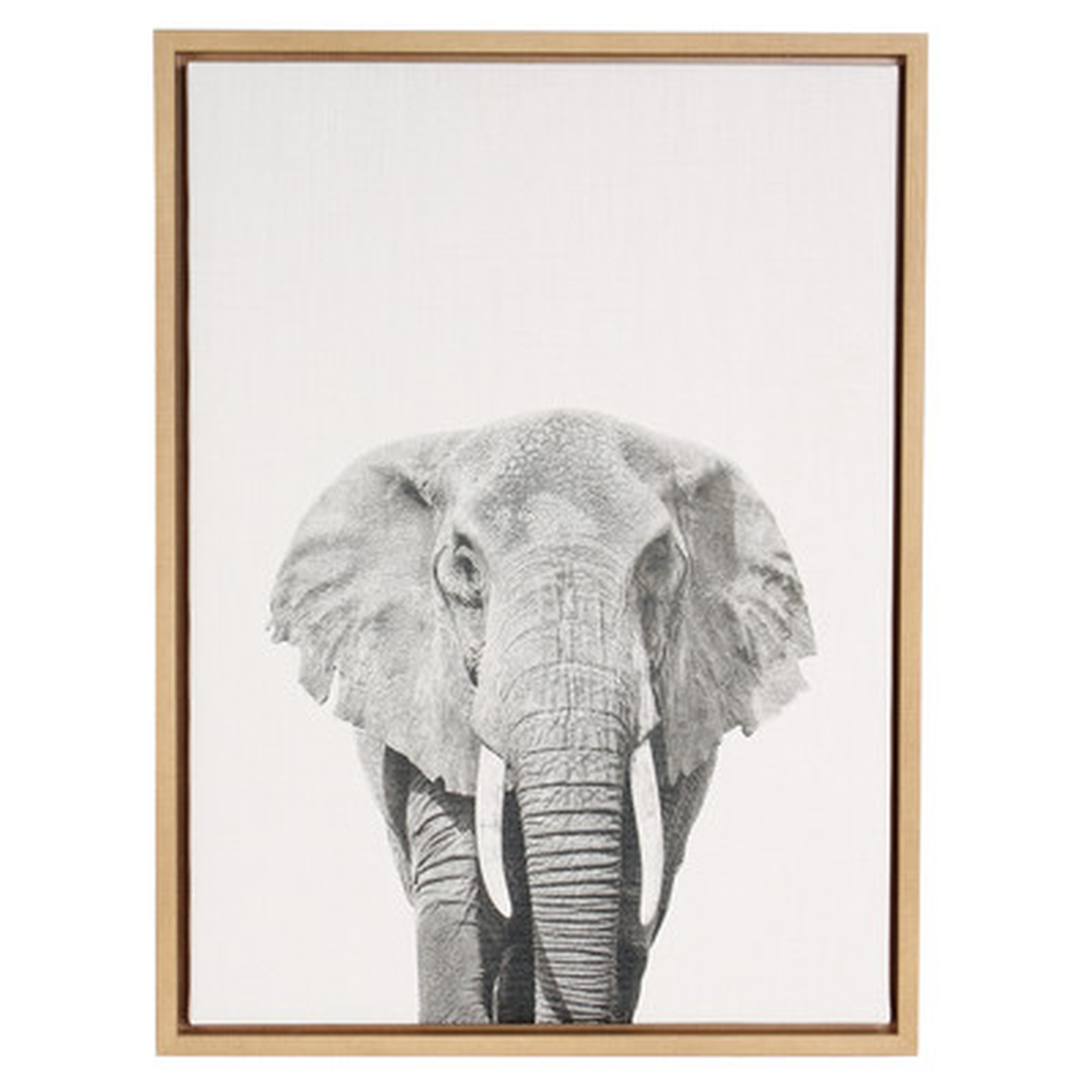 Sylvie 'Elephant Black and White Portrait' by Simon Te Tai Framed Photographic Print on Wrapped Canvas - Wayfair