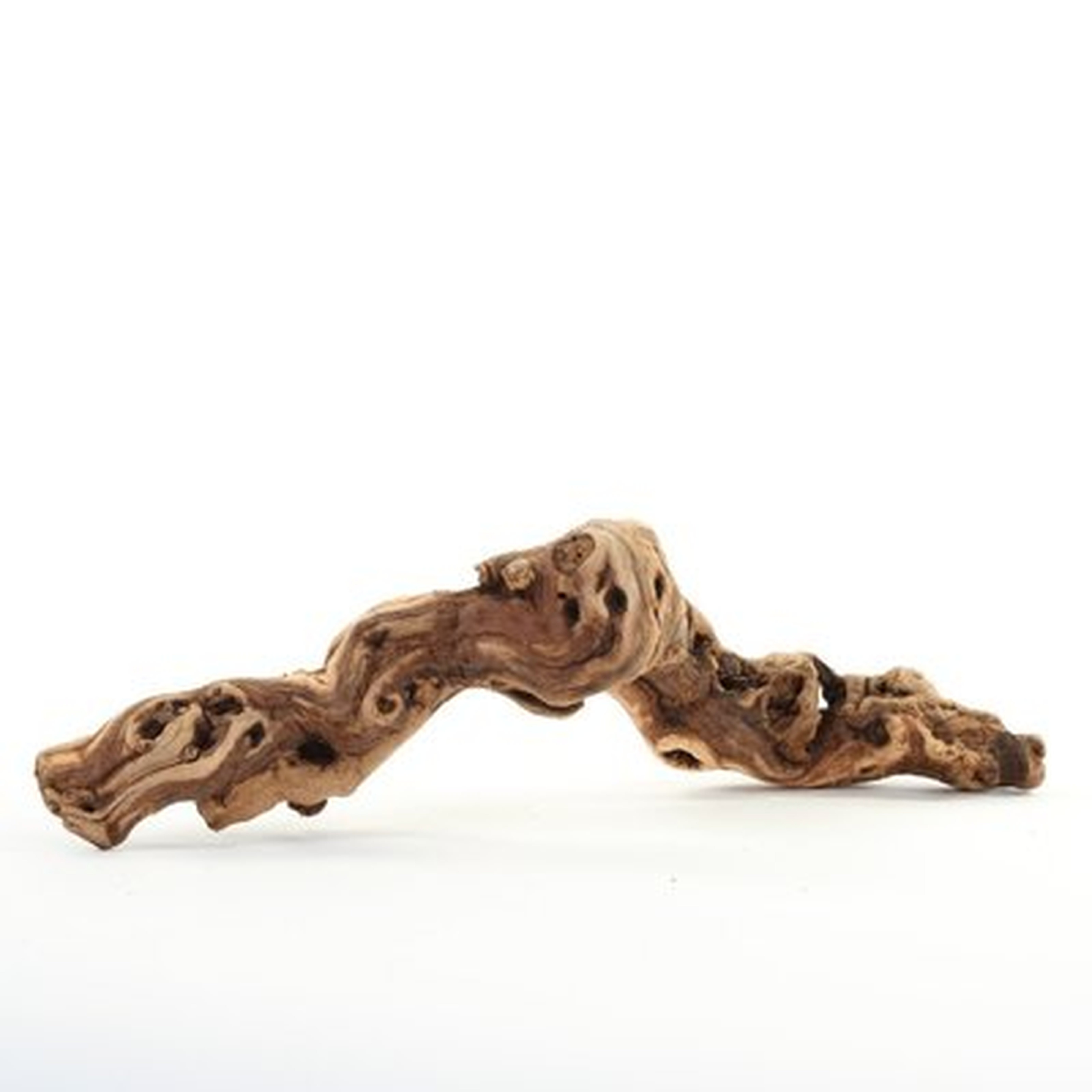 Natural Tumbled Grapewood Branch Sculpture - Wayfair