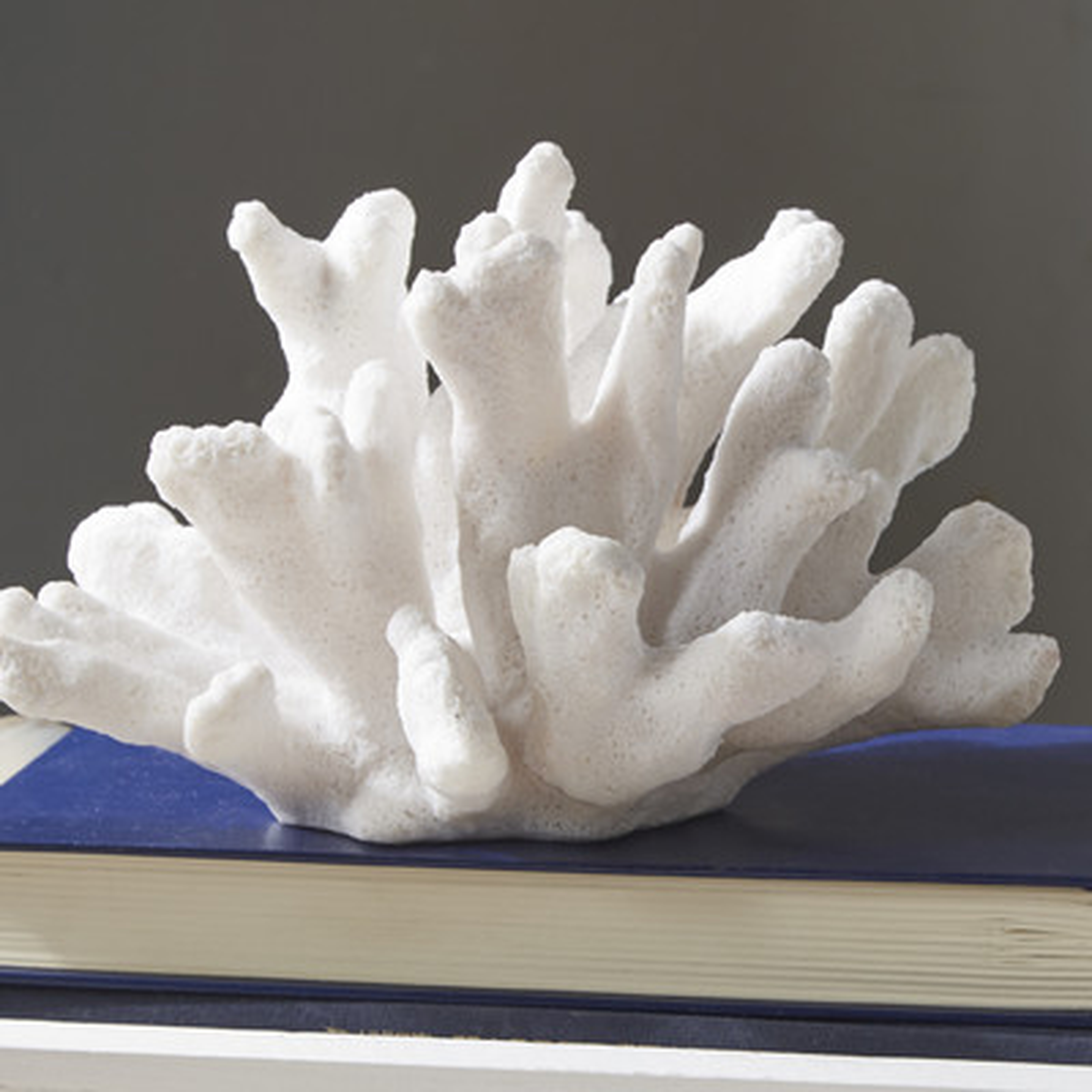 "Auburndale Coral Decor Sculpture" - Wayfair