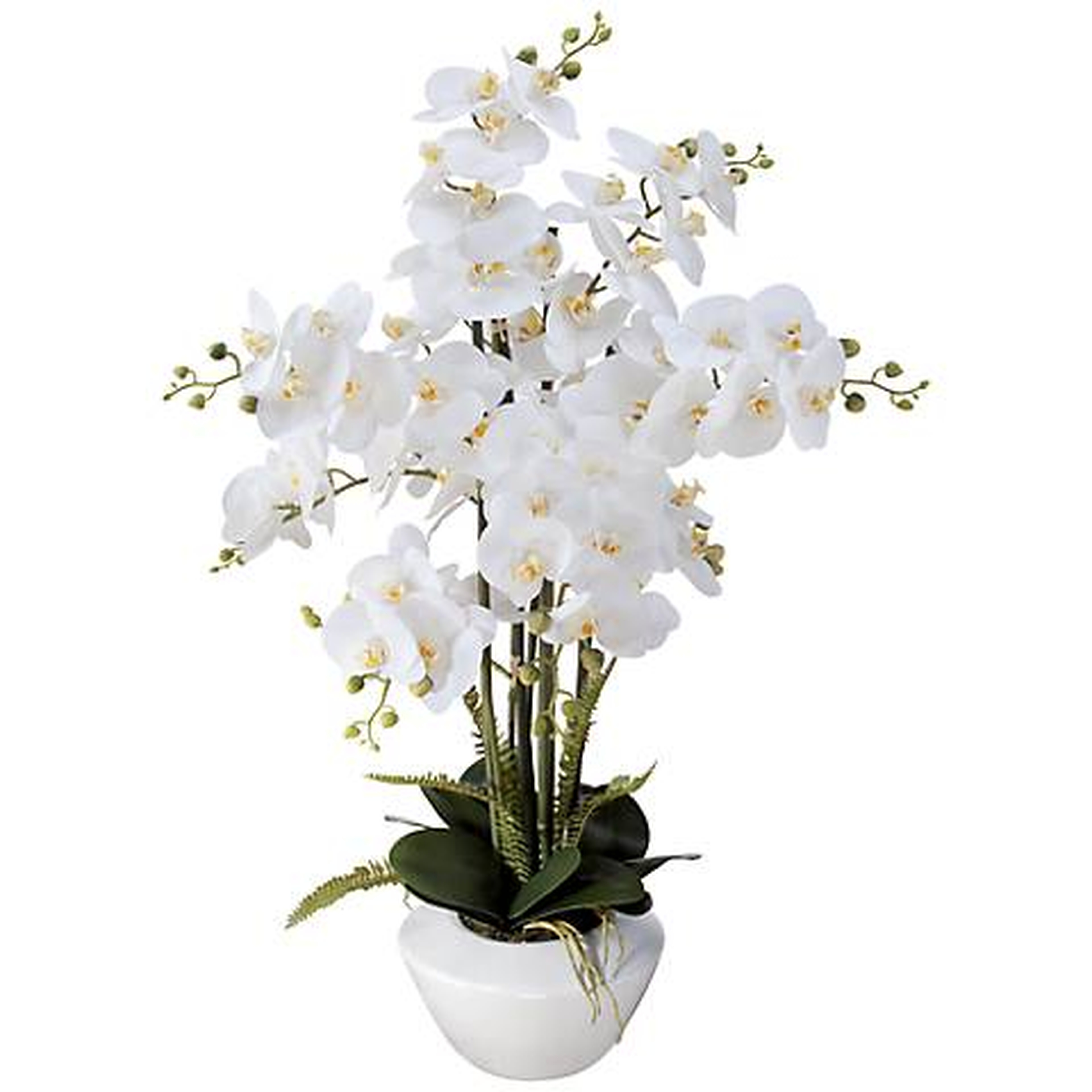 White Phalaenopsis Orchid 29"H Faux Floral Arrangement - Lamps Plus