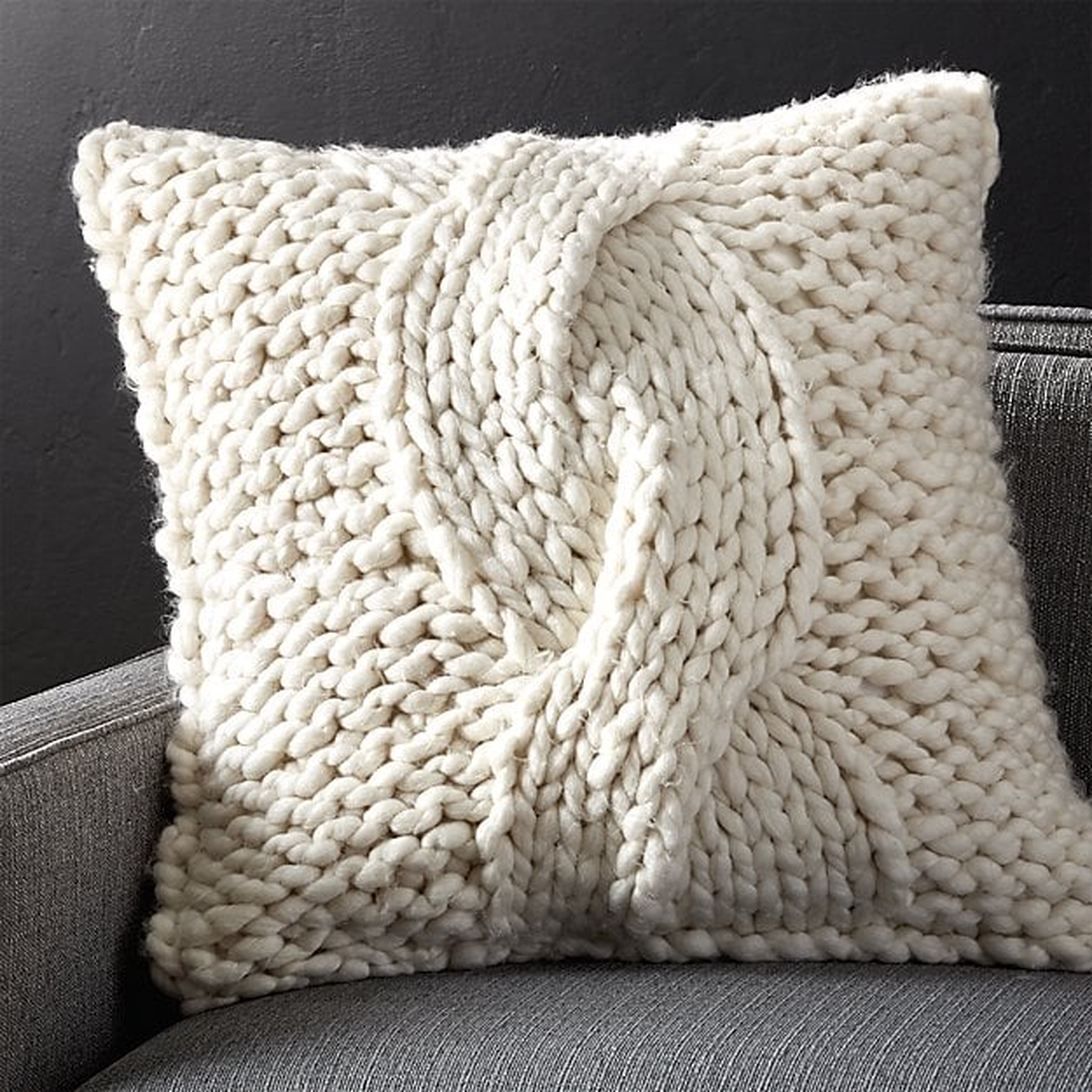 Cozy Knit Ivory 23" Pillow with Down-Alternative Insert - Crate and Barrel