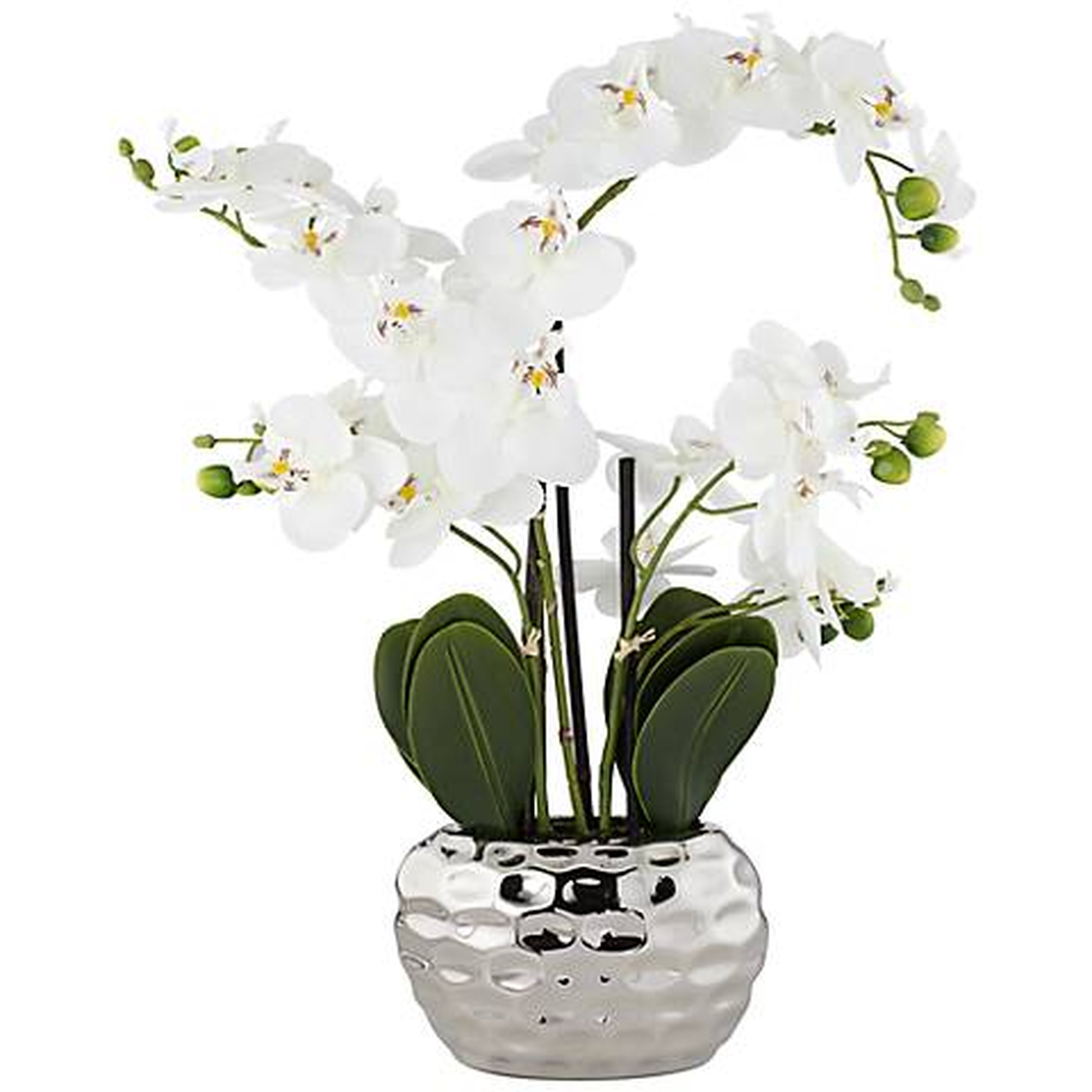 White Phalaenopsis 23"H Faux Orchid in Silver Ceramic Pot - Lamps Plus