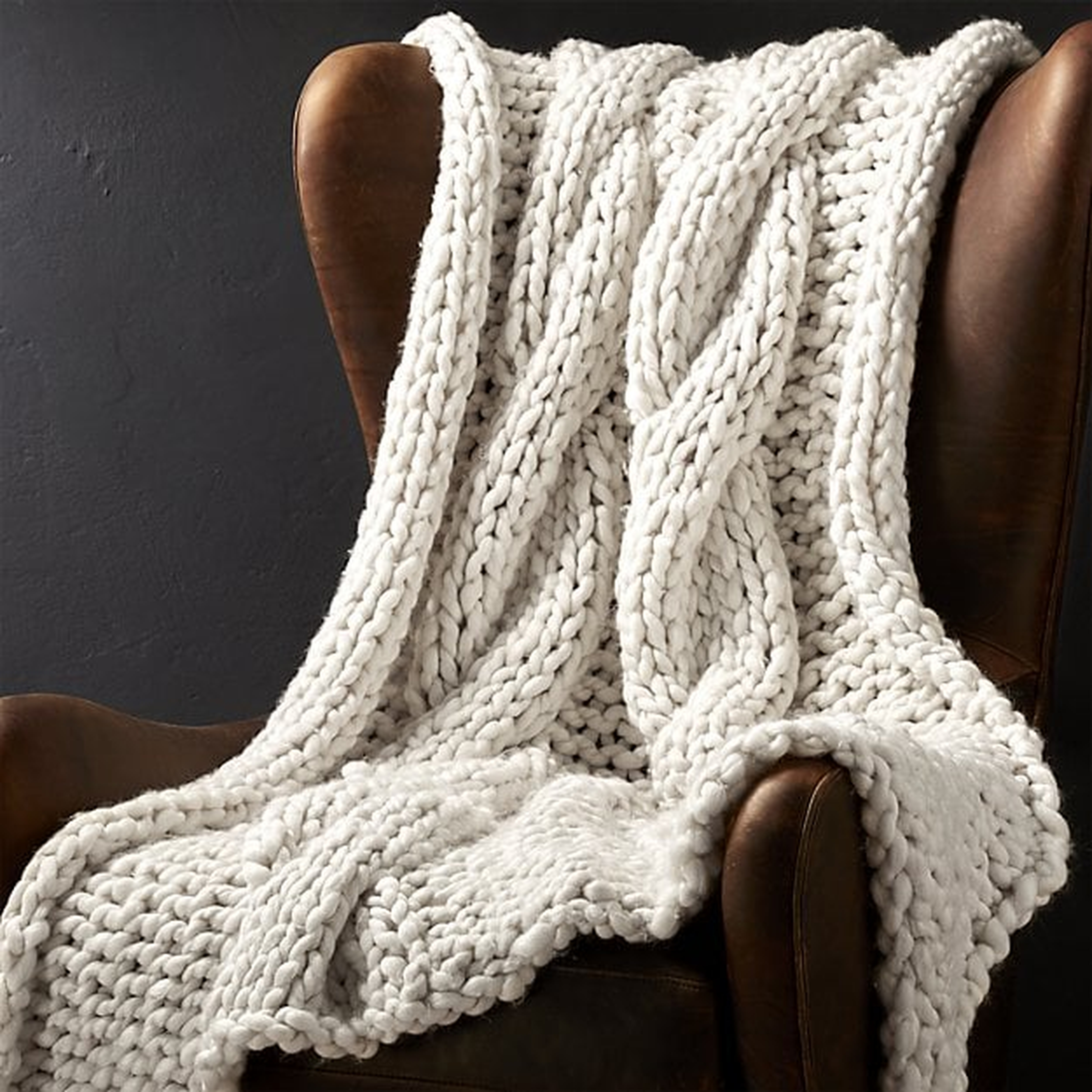 Cozy Knit Ivory Throw - Crate and Barrel