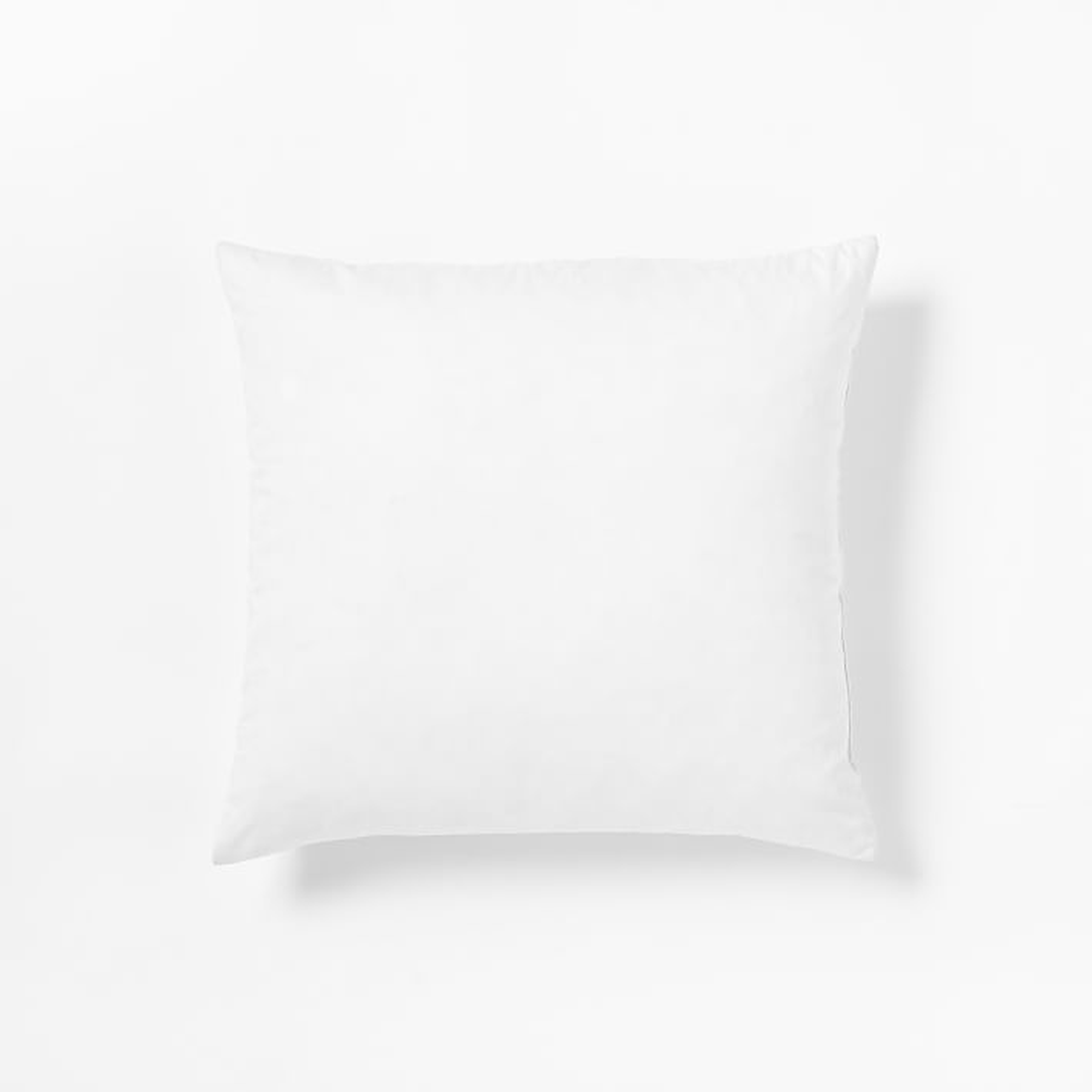 Pillow Insert - 22" - Pottery Barn