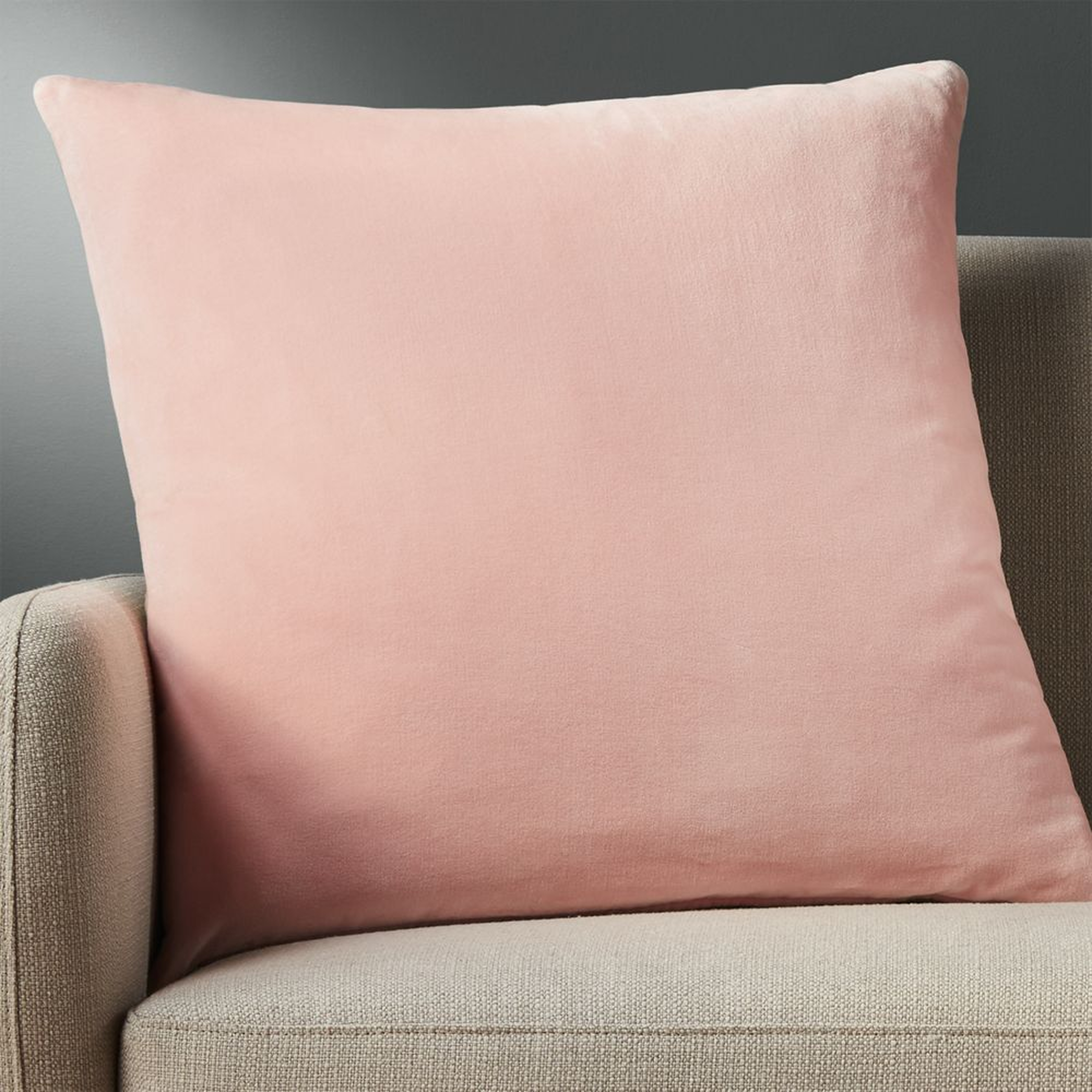 23" leisure blush pillow with feather-down insert - CB2