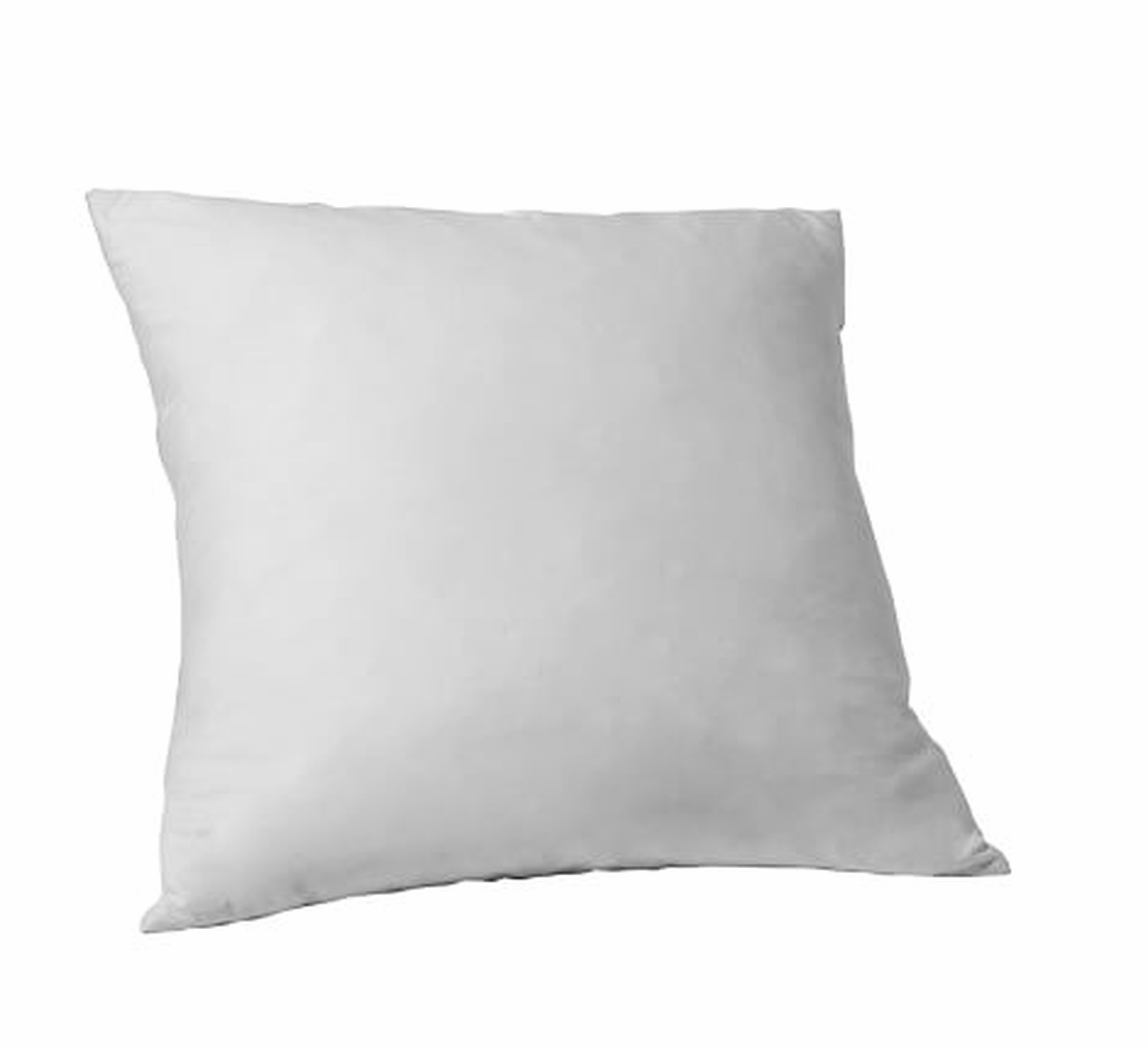 Decorative Pillow Insert – 20" SQ - West Elm