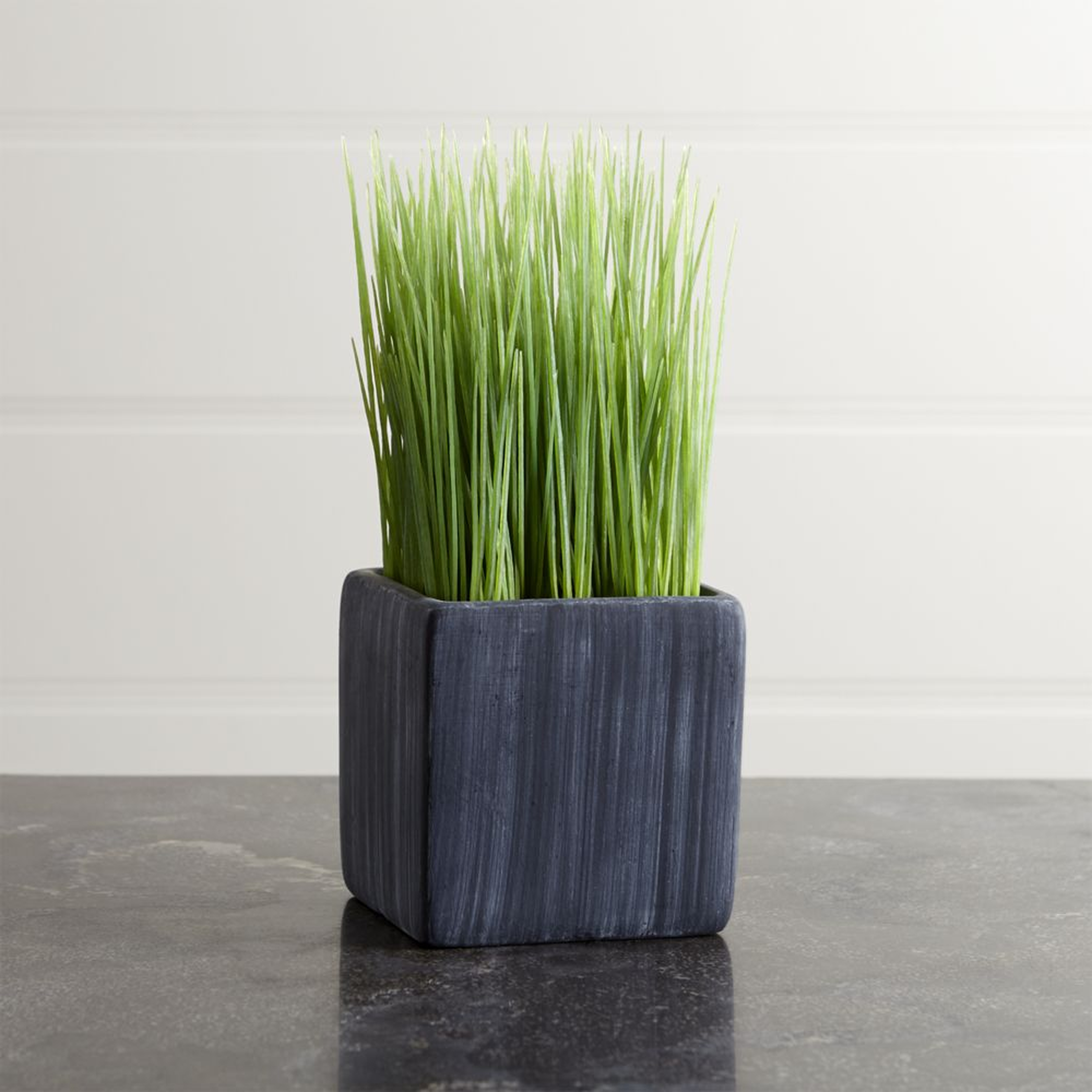 Mini Potted Grass - Crate and Barrel