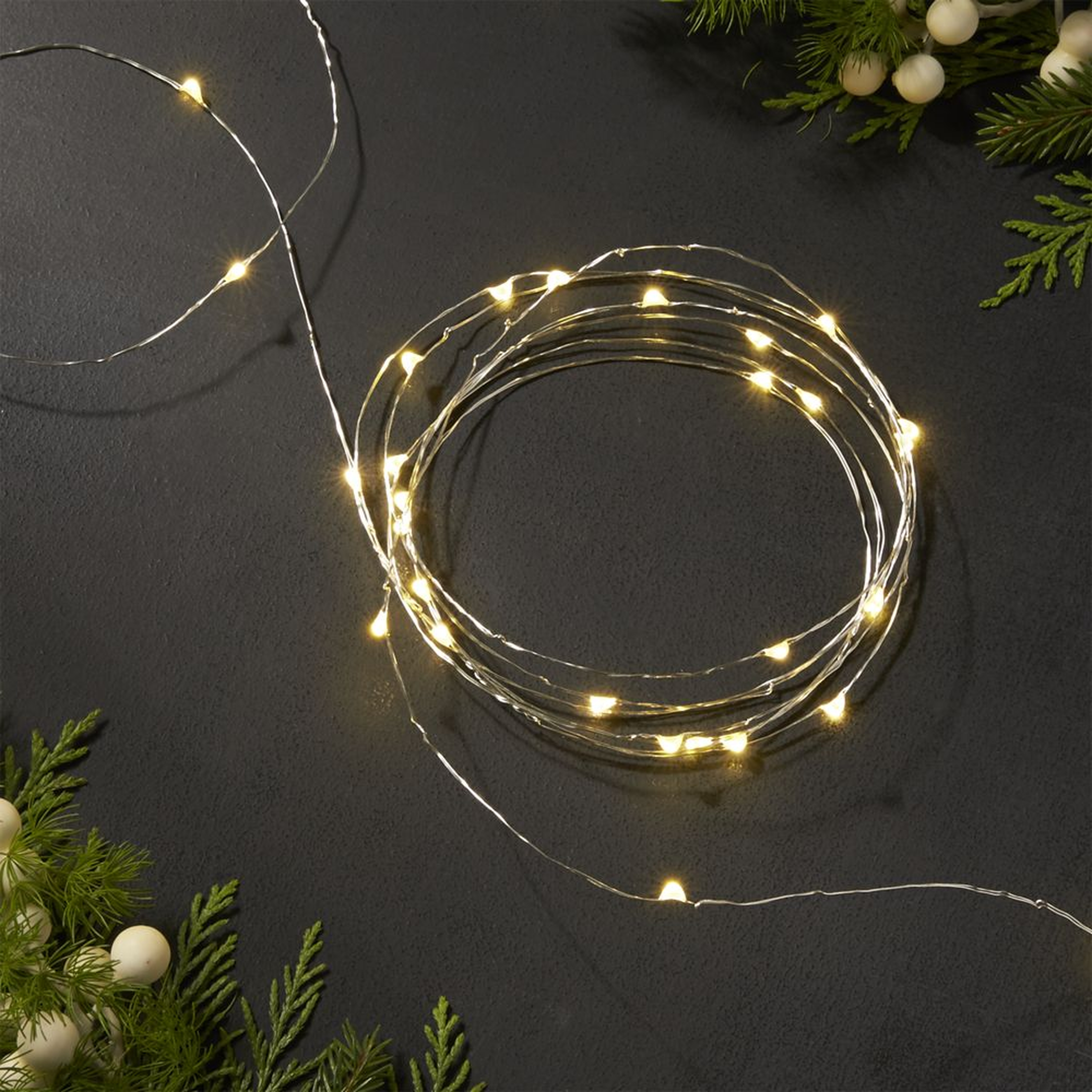 Twinkle Silver 30' Outdoor String Lights - Crate and Barrel