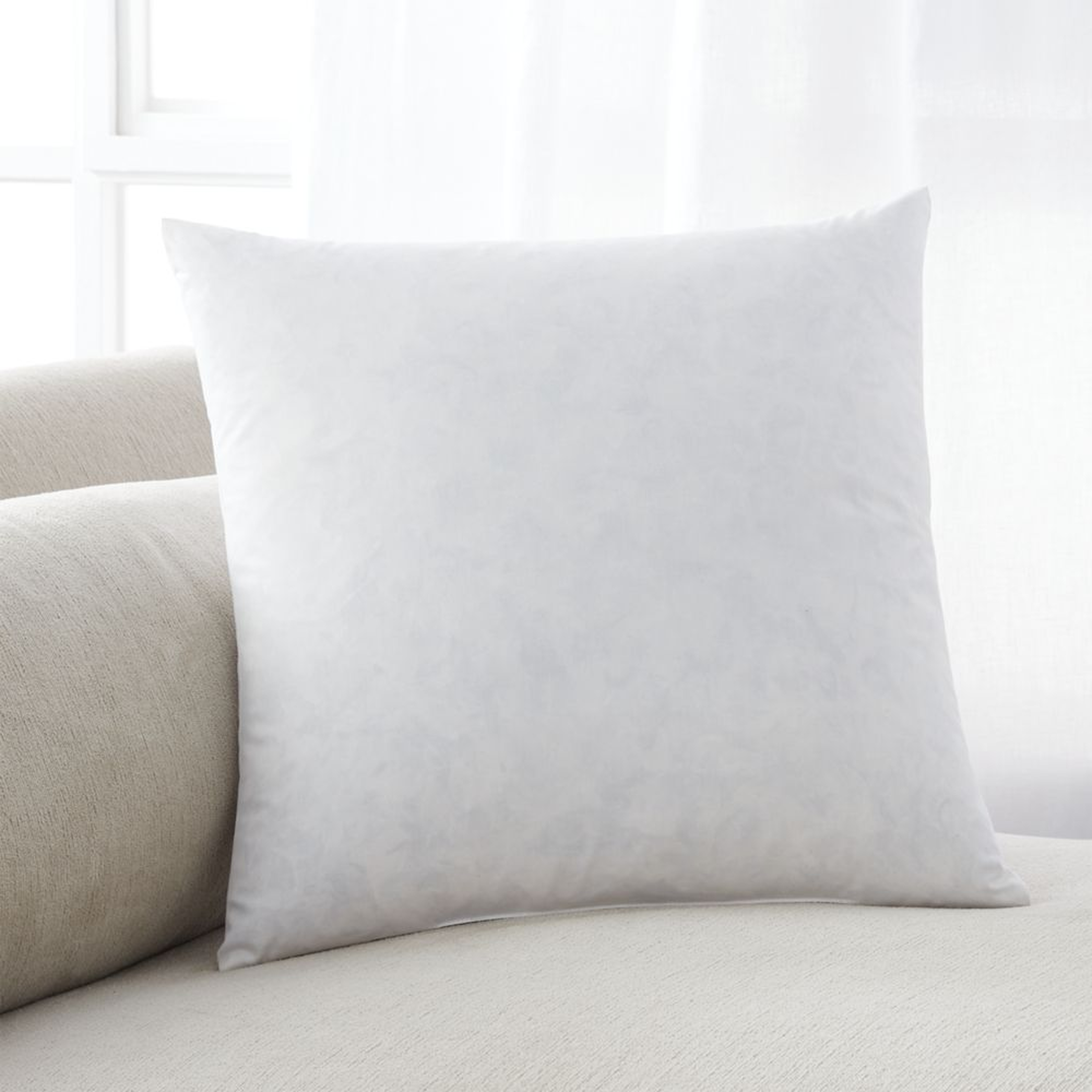 Feather 16" Pillow Insert - Crate and Barrel
