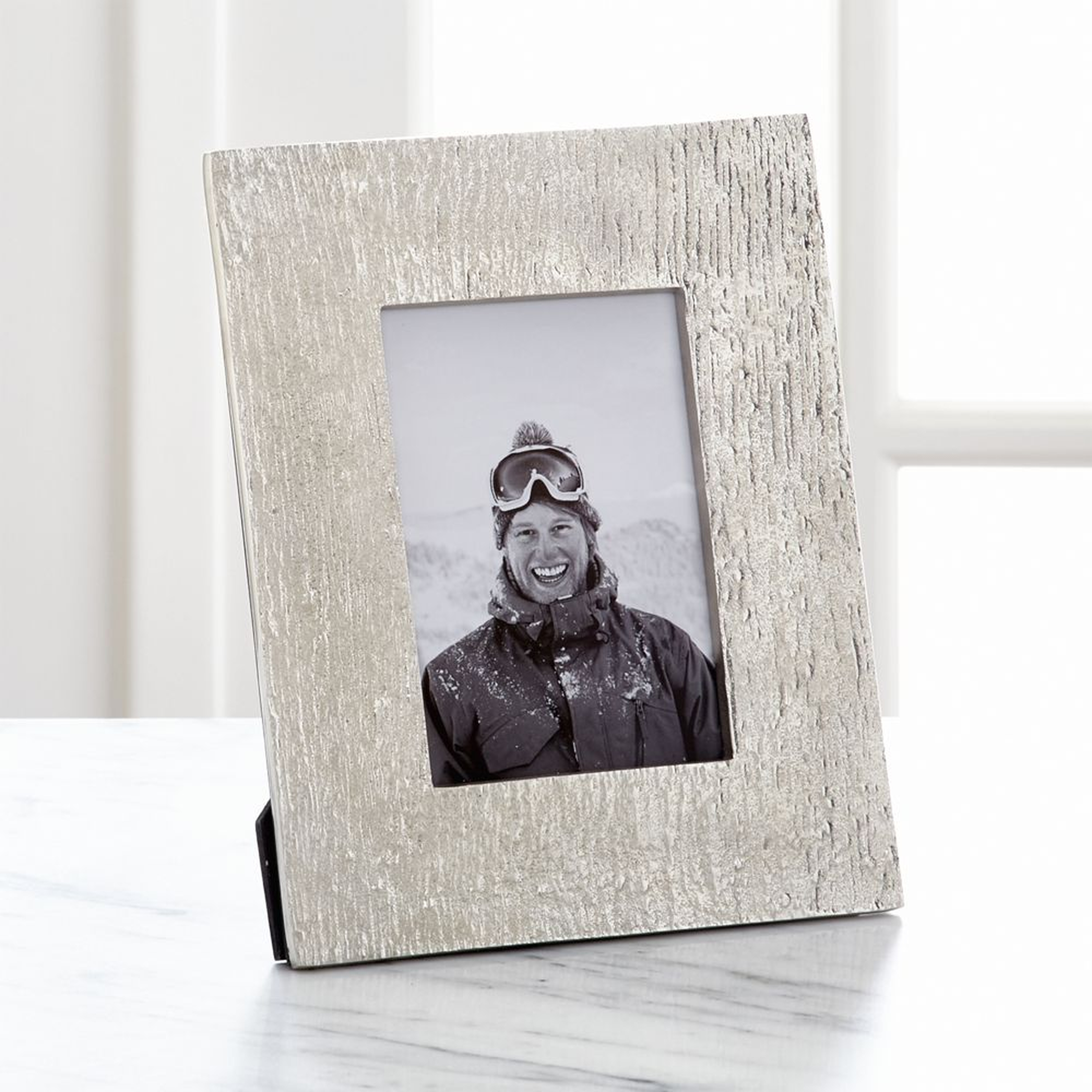 Silver Bark 4"x6" Picture Frame - Crate and Barrel