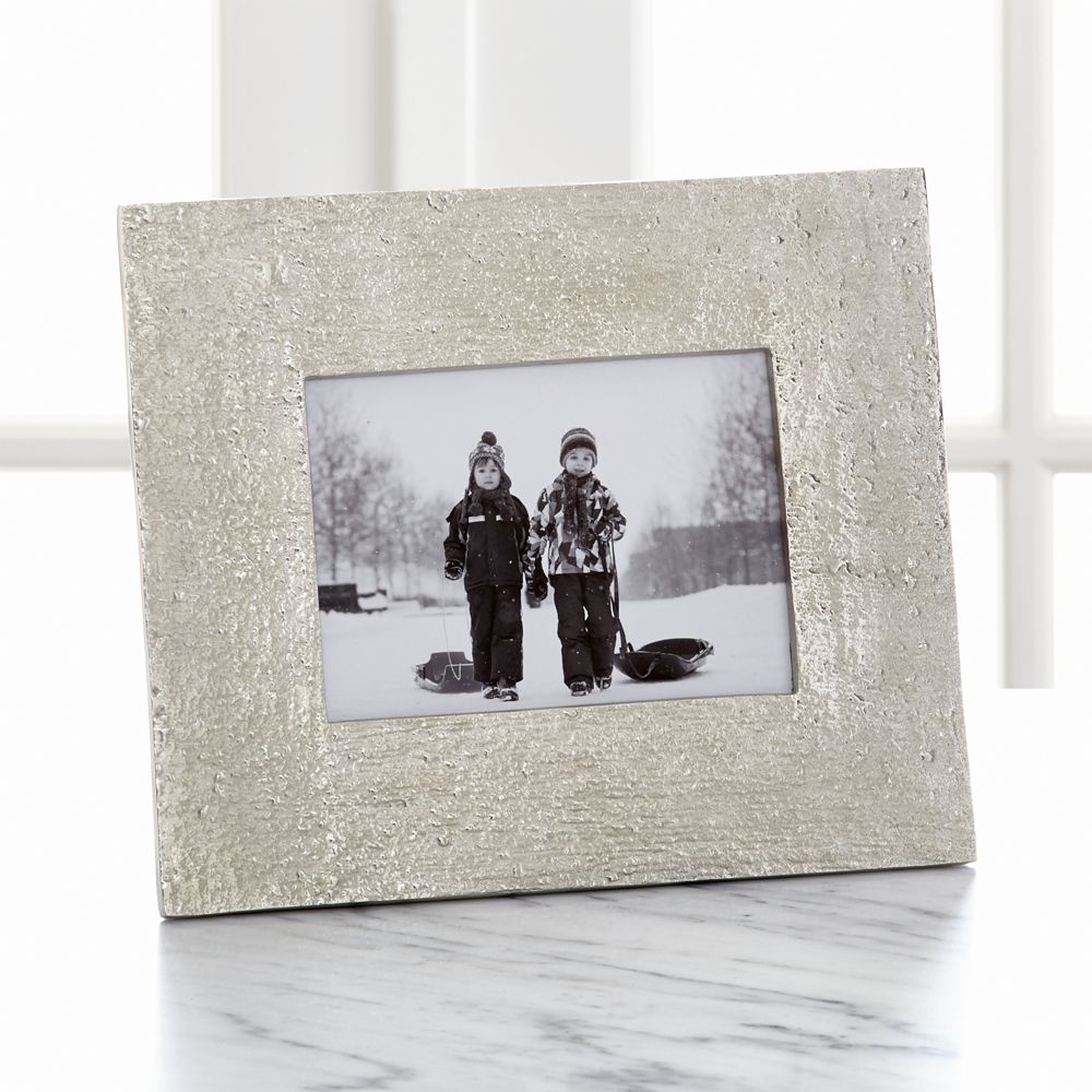 Silver Bark 5"x7" Picture Frame - Crate and Barrel