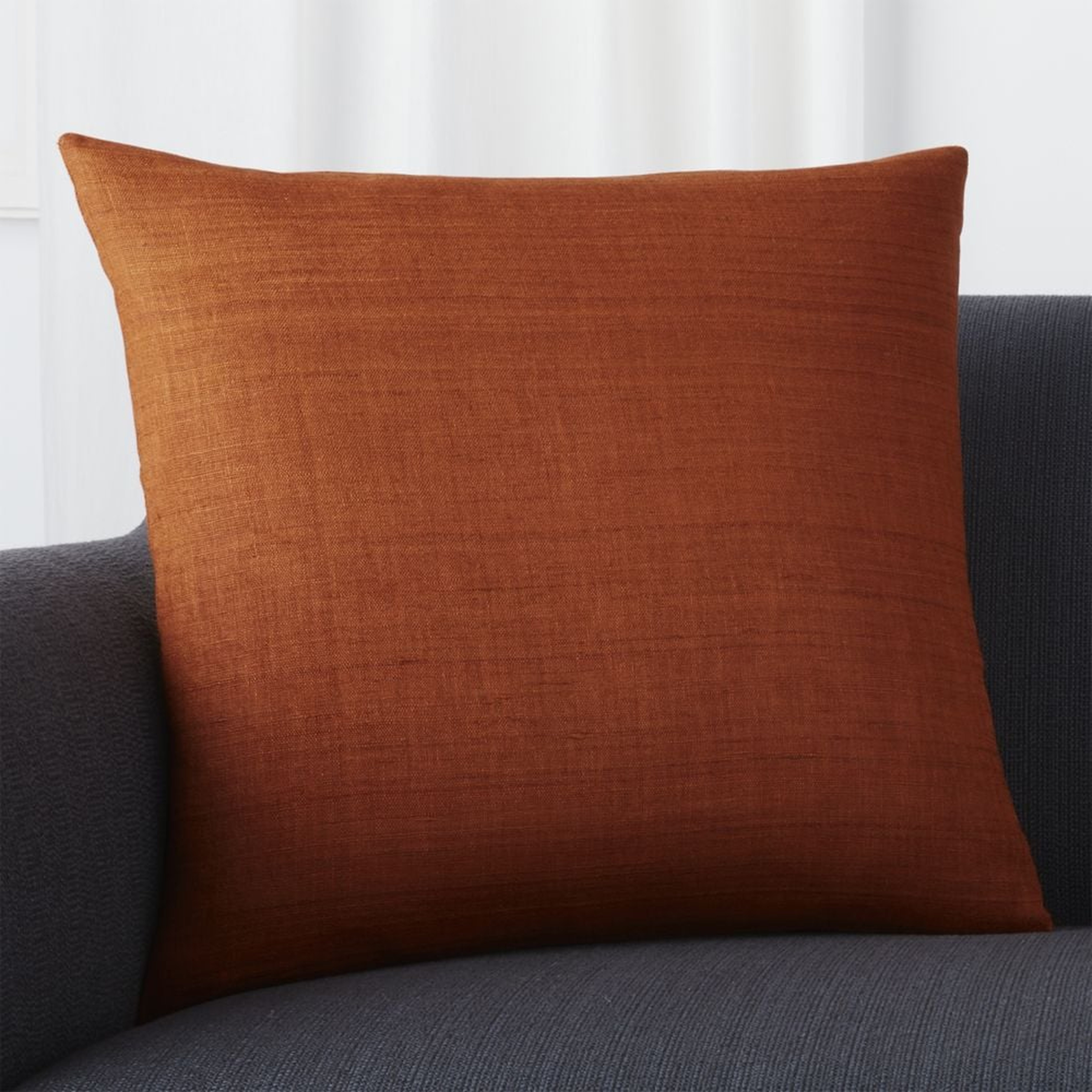 Michaela Cayenne 20" Pillow with Down-Alternative Insert - Crate and Barrel