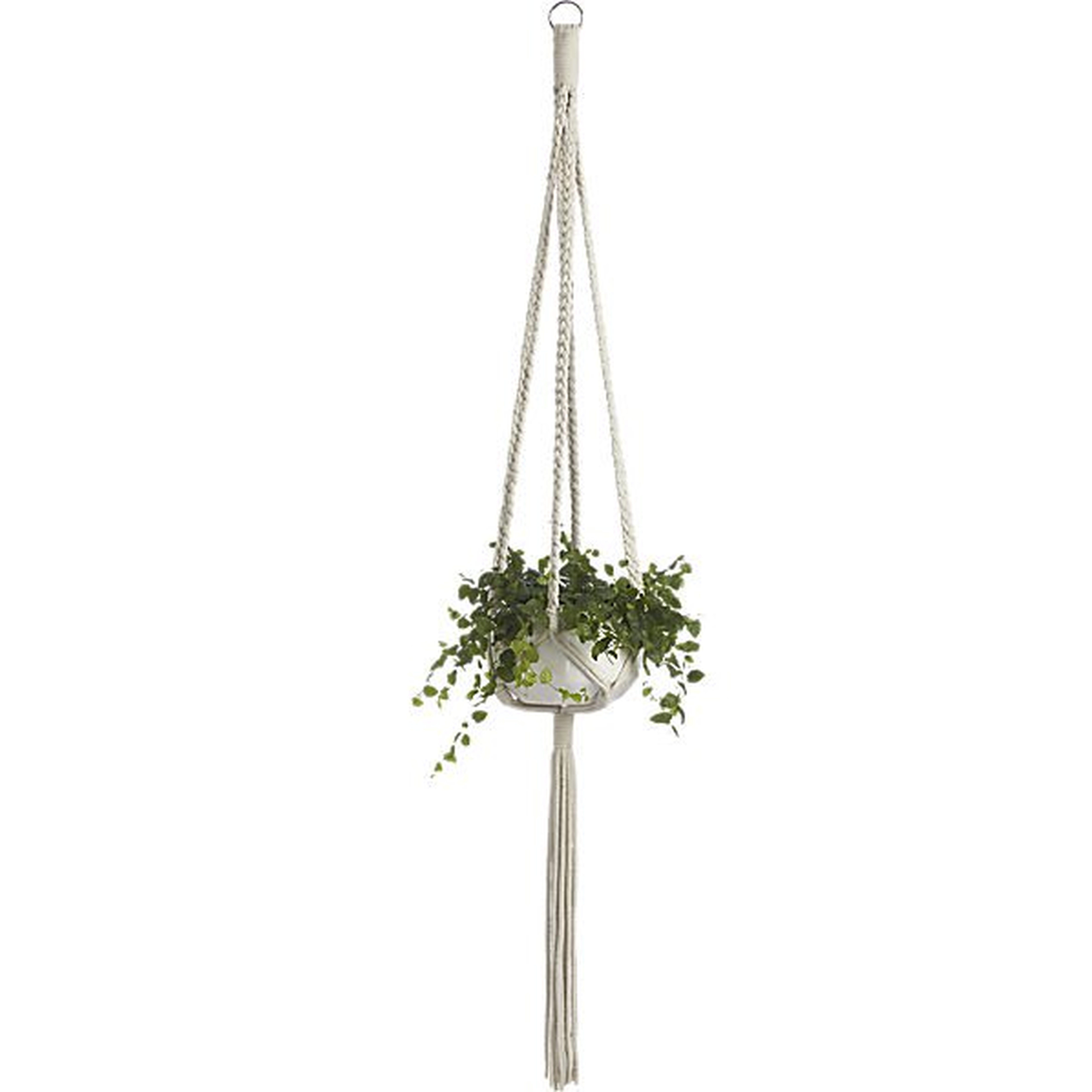 Macramé plant holder - CB2