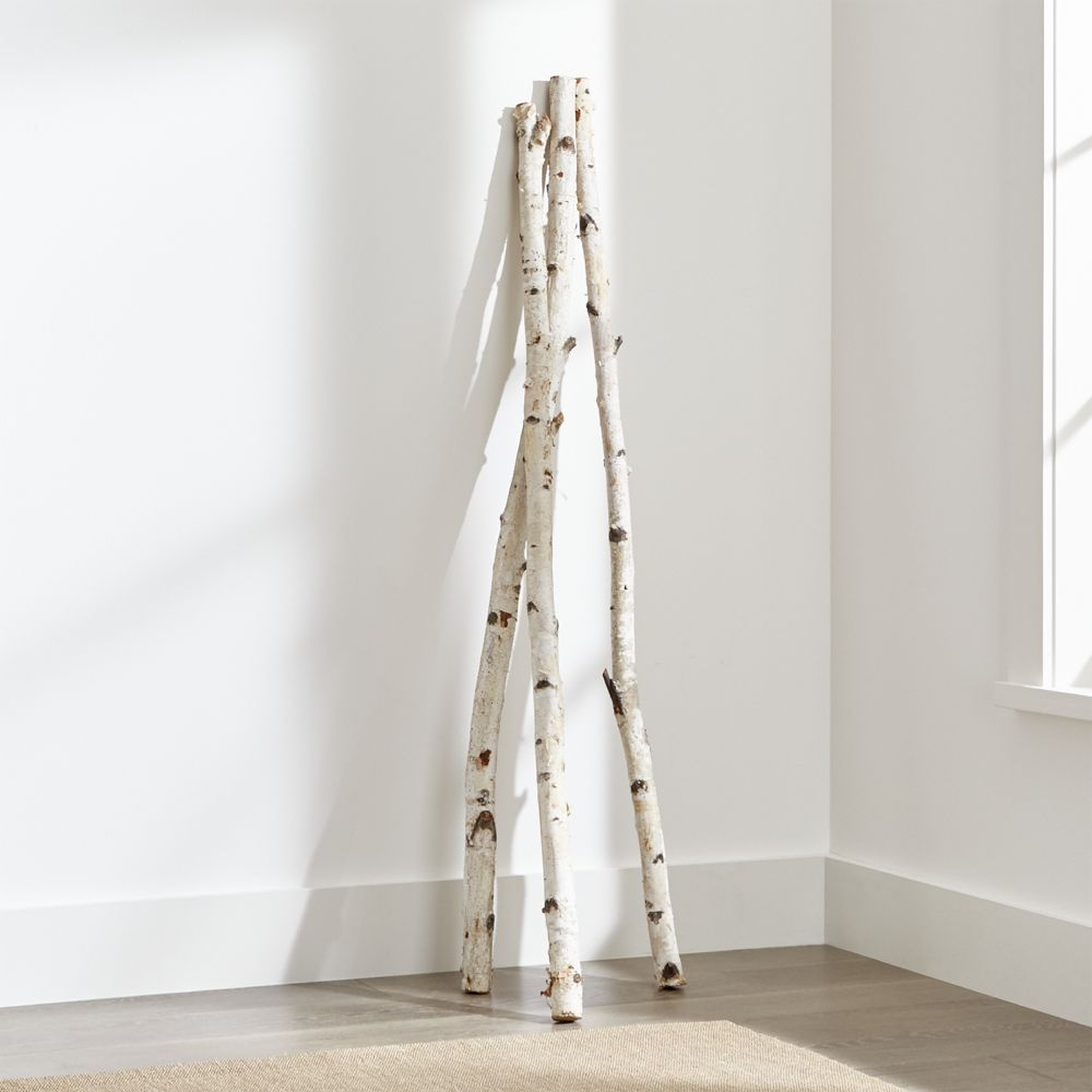 Tall Birch Branches, Set of 3 - Crate and Barrel