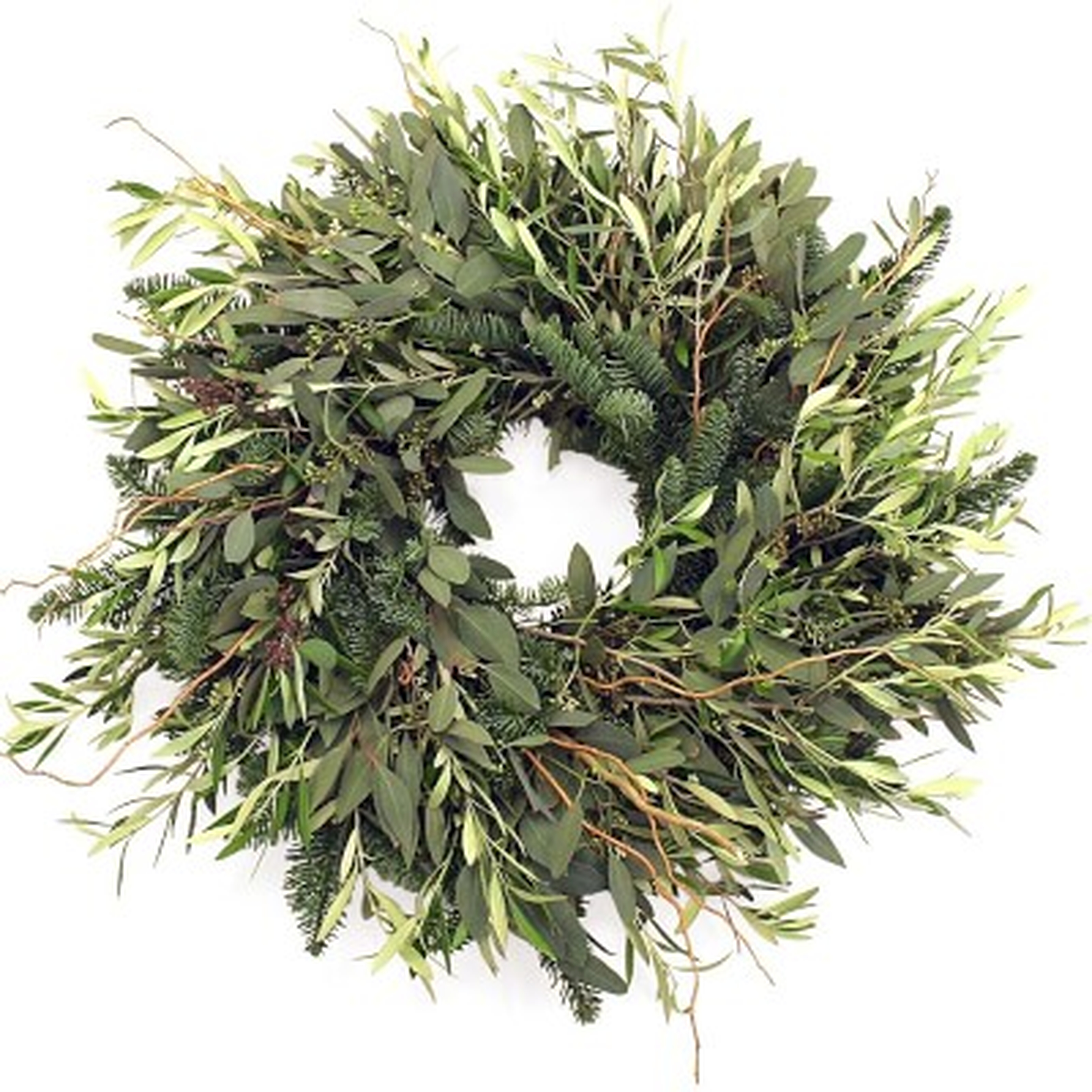 Wild Olive Wreath, 22" - Williams Sonoma