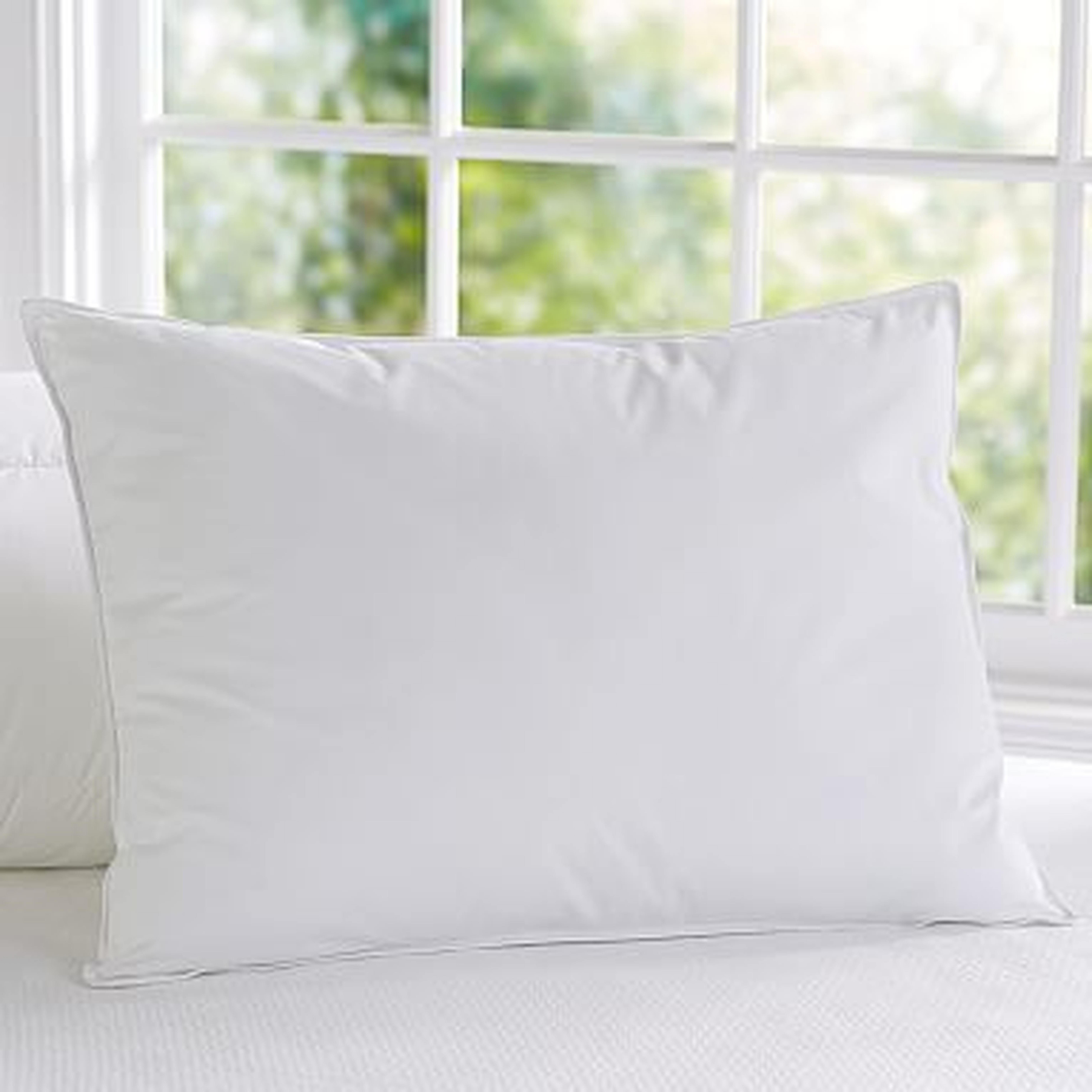 Synthetic Pillows, Essential, Standard - Pottery Barn Teen