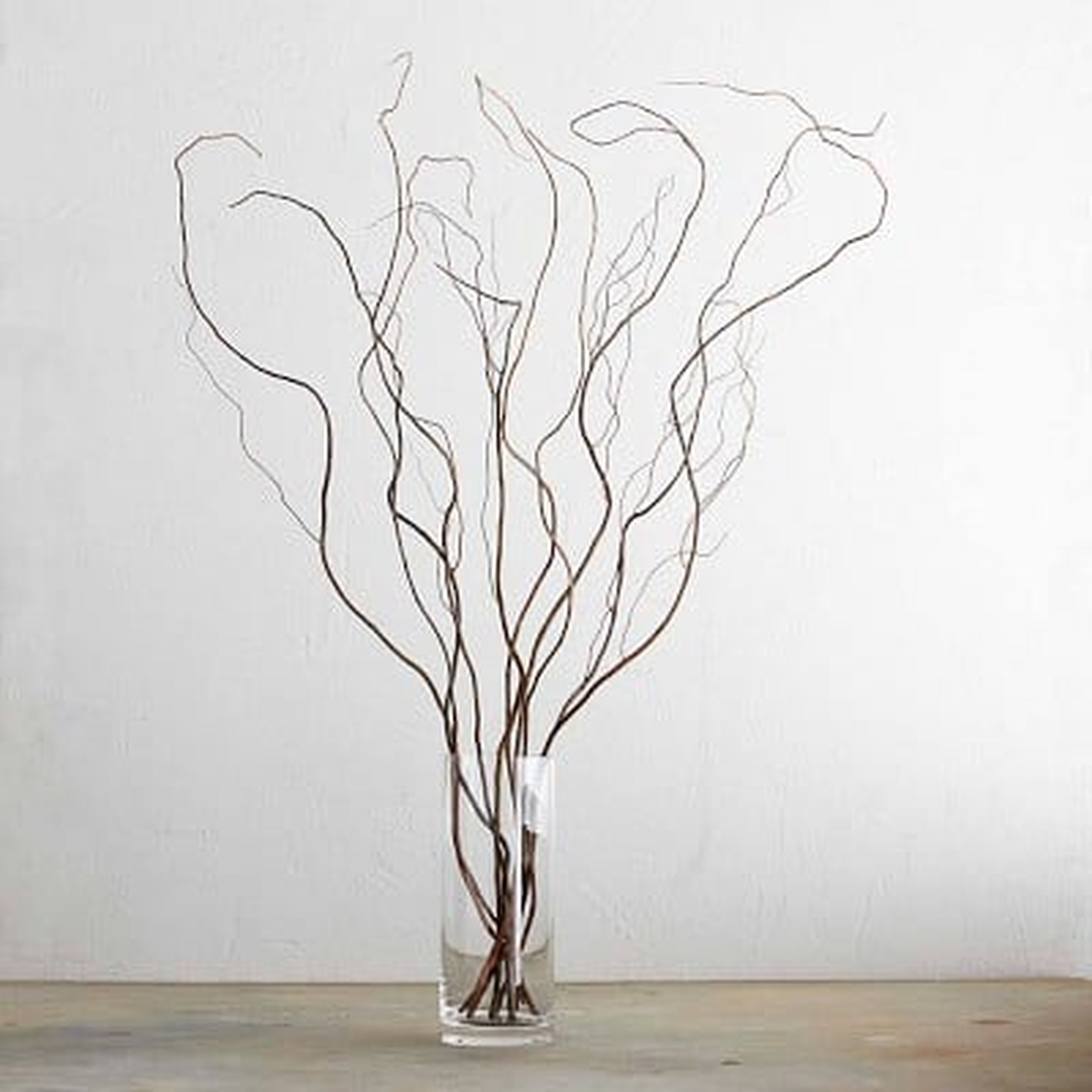 Curly Willow Branches, 1-lb. Bundle - Williams Sonoma