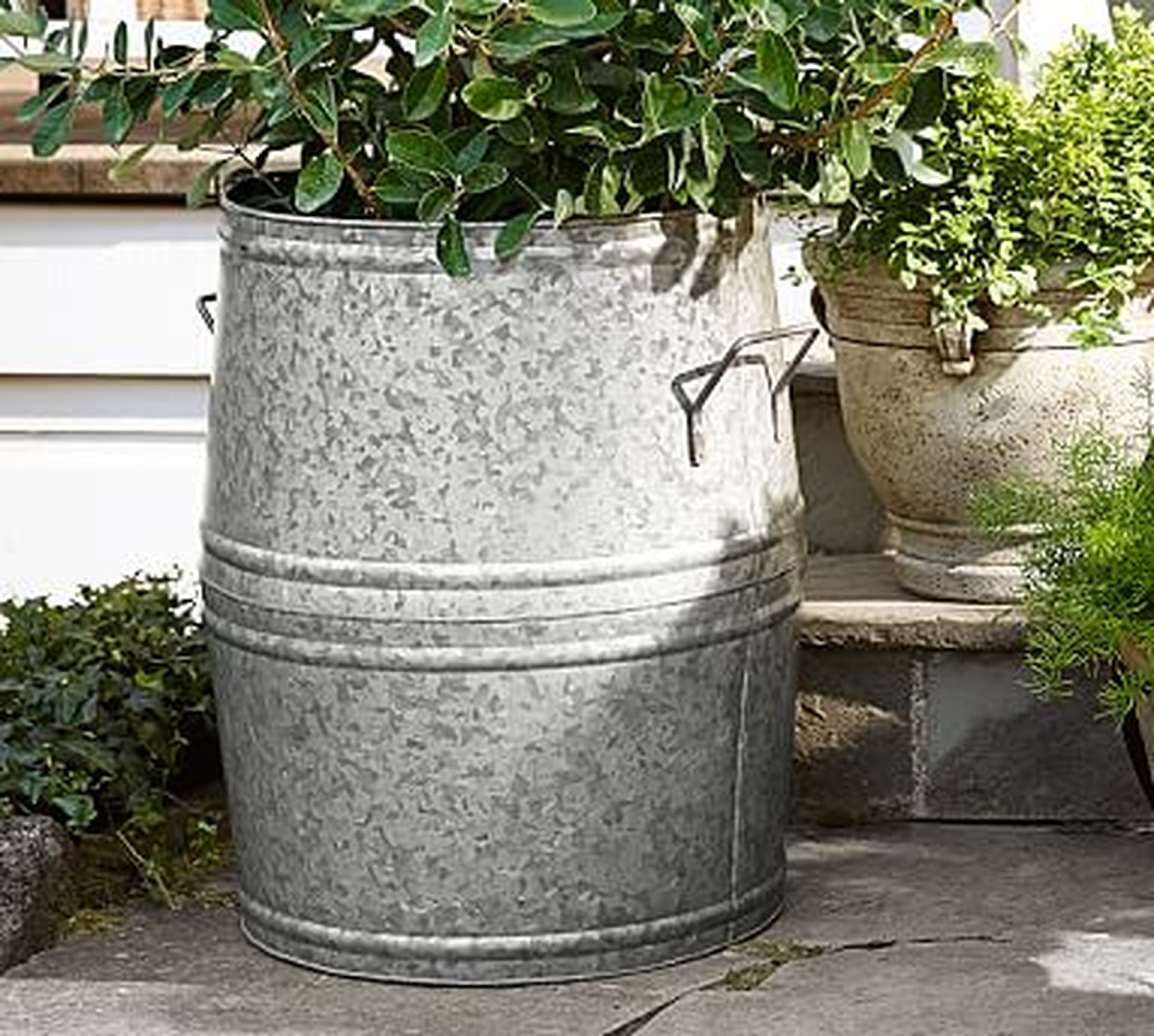 Eclectic Galvanized Metal Planter, X-Large Barrel - Pottery Barn