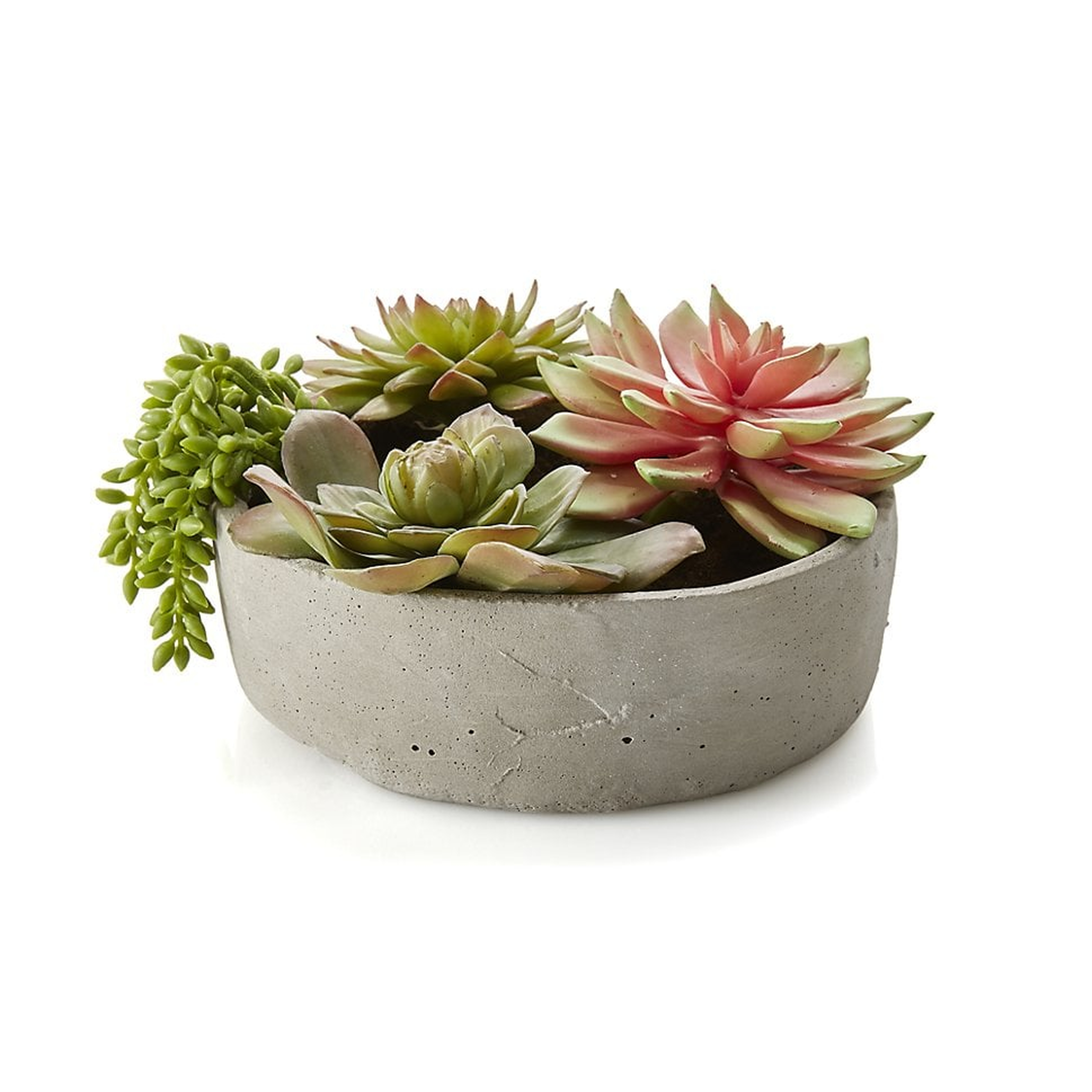 Faux Succulents in Low Round Pot, Restock in mid august 2023. - Crate and Barrel