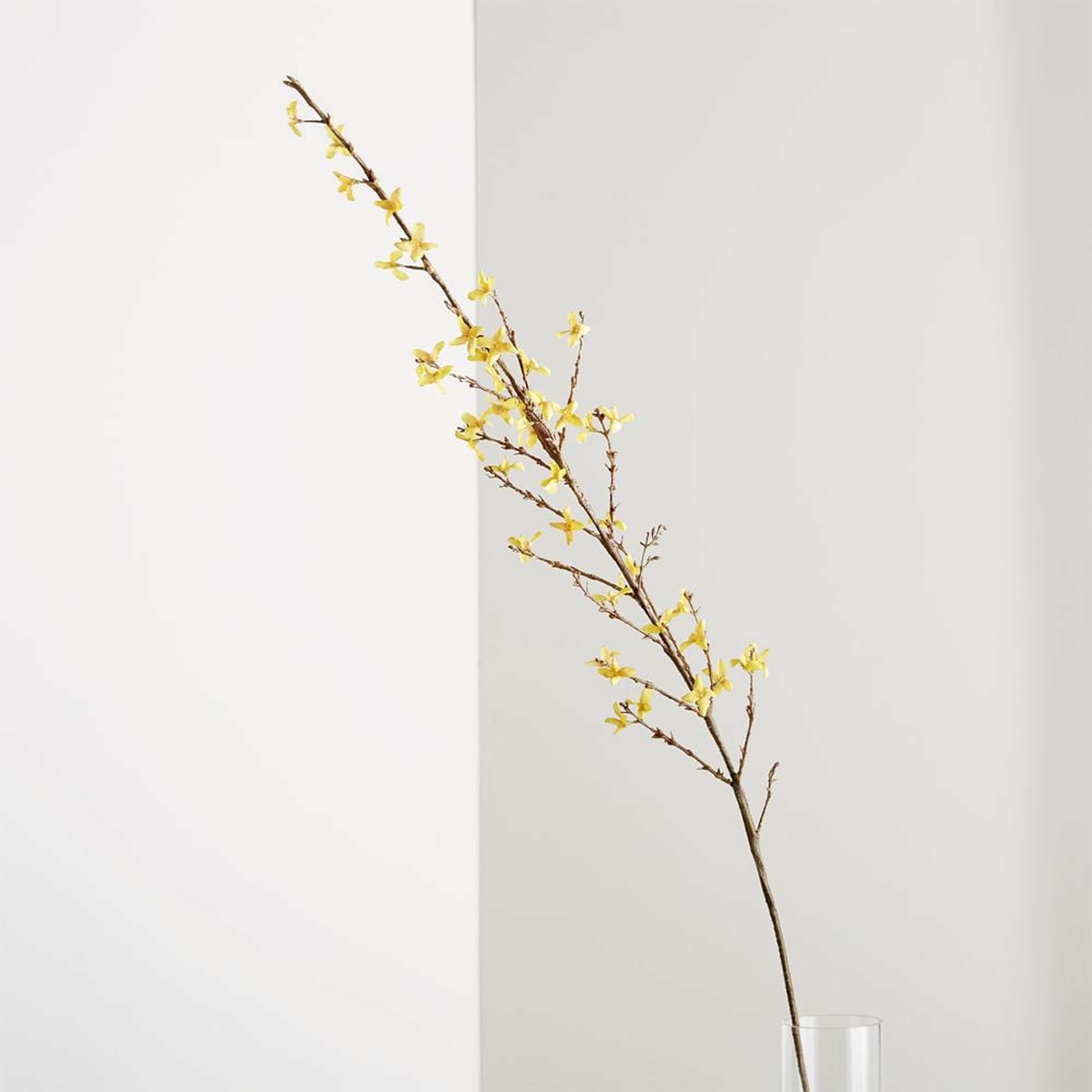 Faux Forsythia Flower Stem - Crate and Barrel