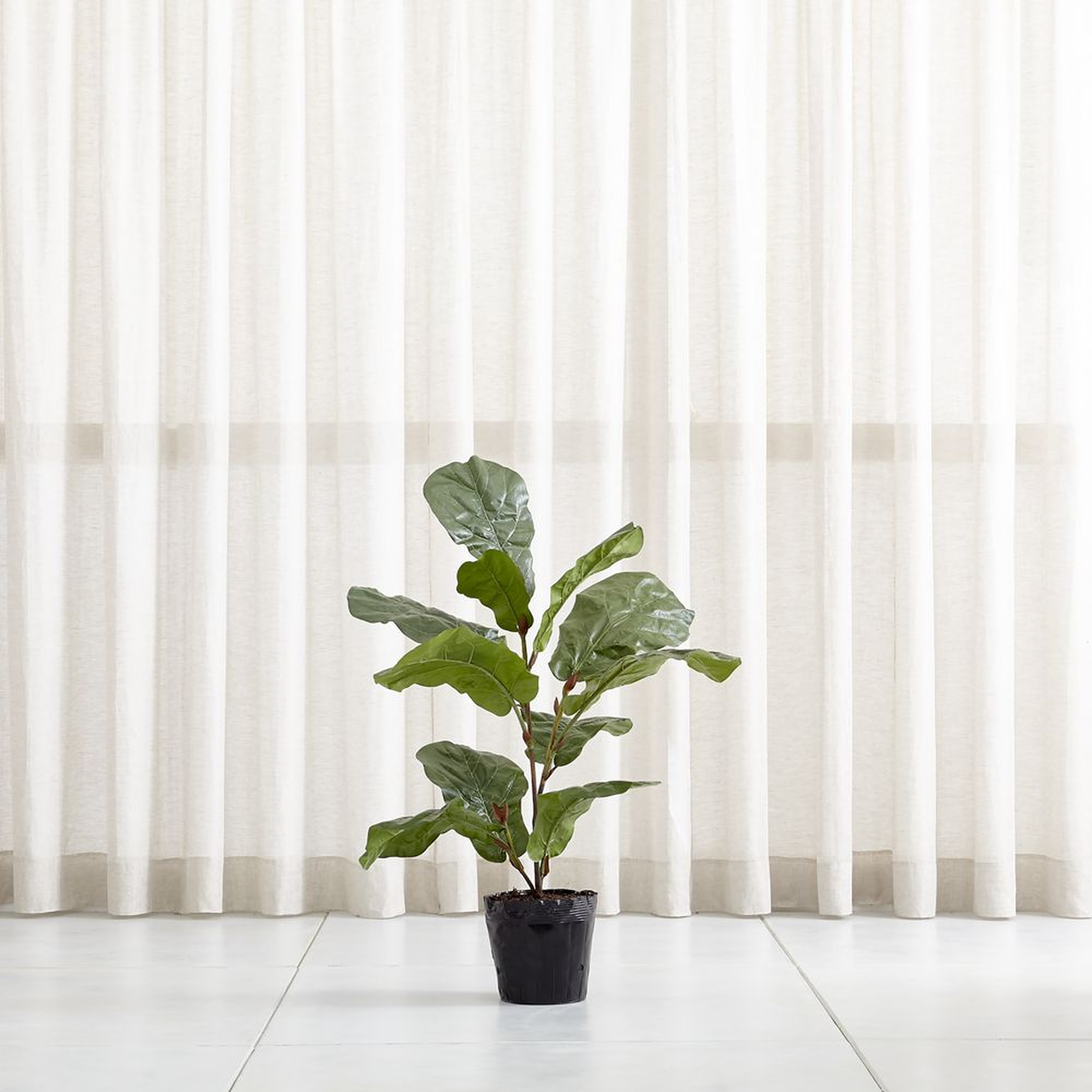 Faux 3.5' Fiddle Leaf Fig Tree - Crate and Barrel