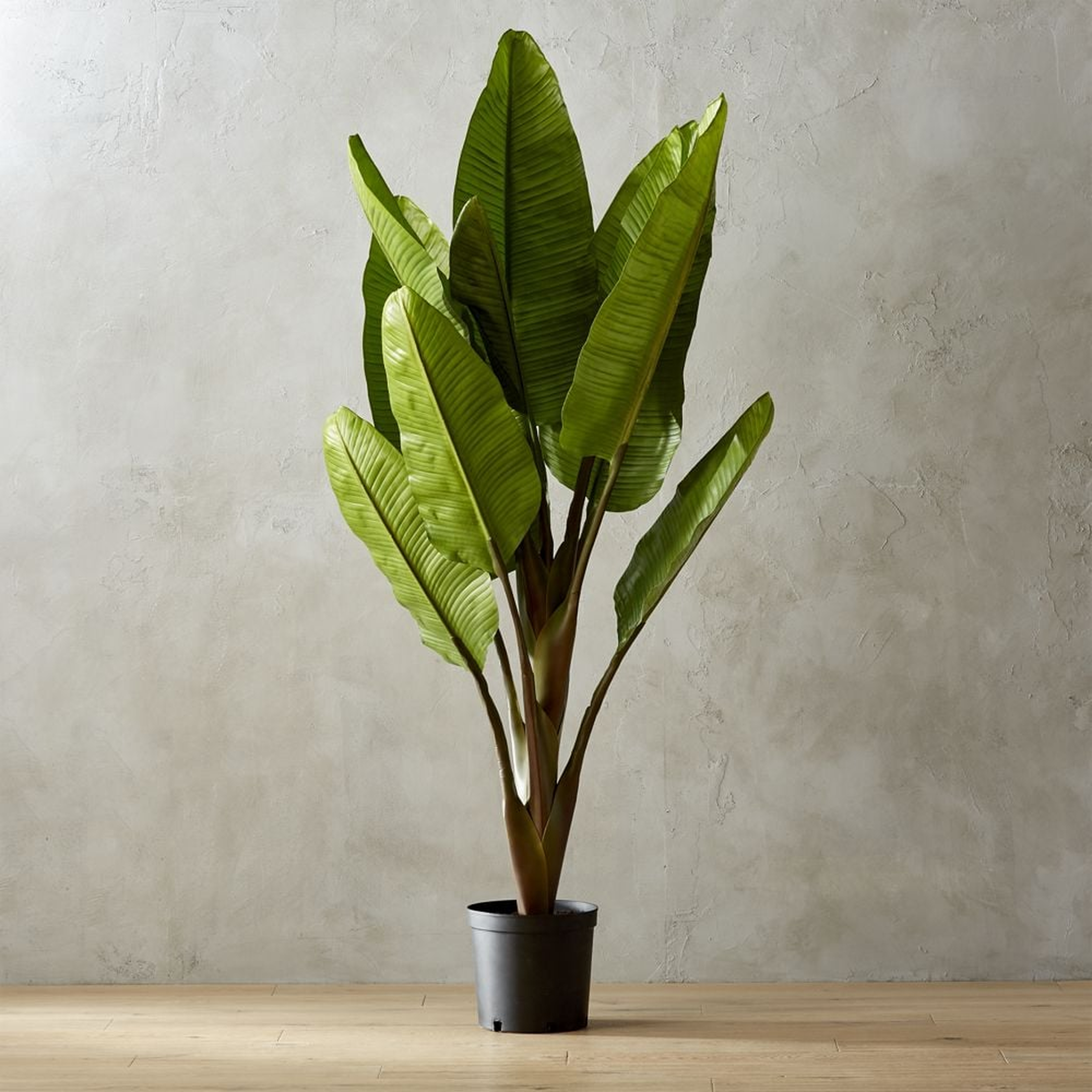 "72"" Faux Banana Tree" - CB2