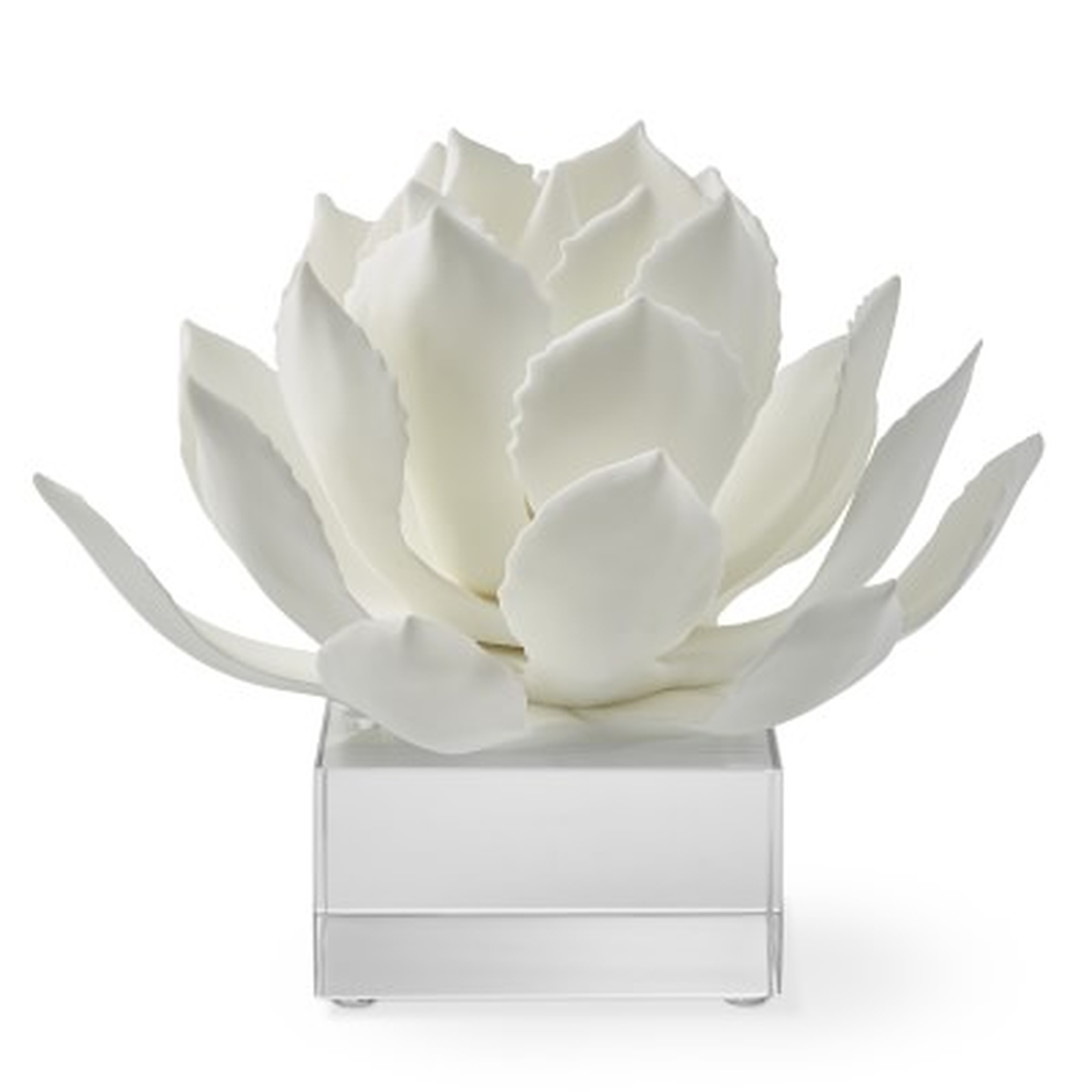 White Agave On Acrylic Stand, Large - Williams Sonoma