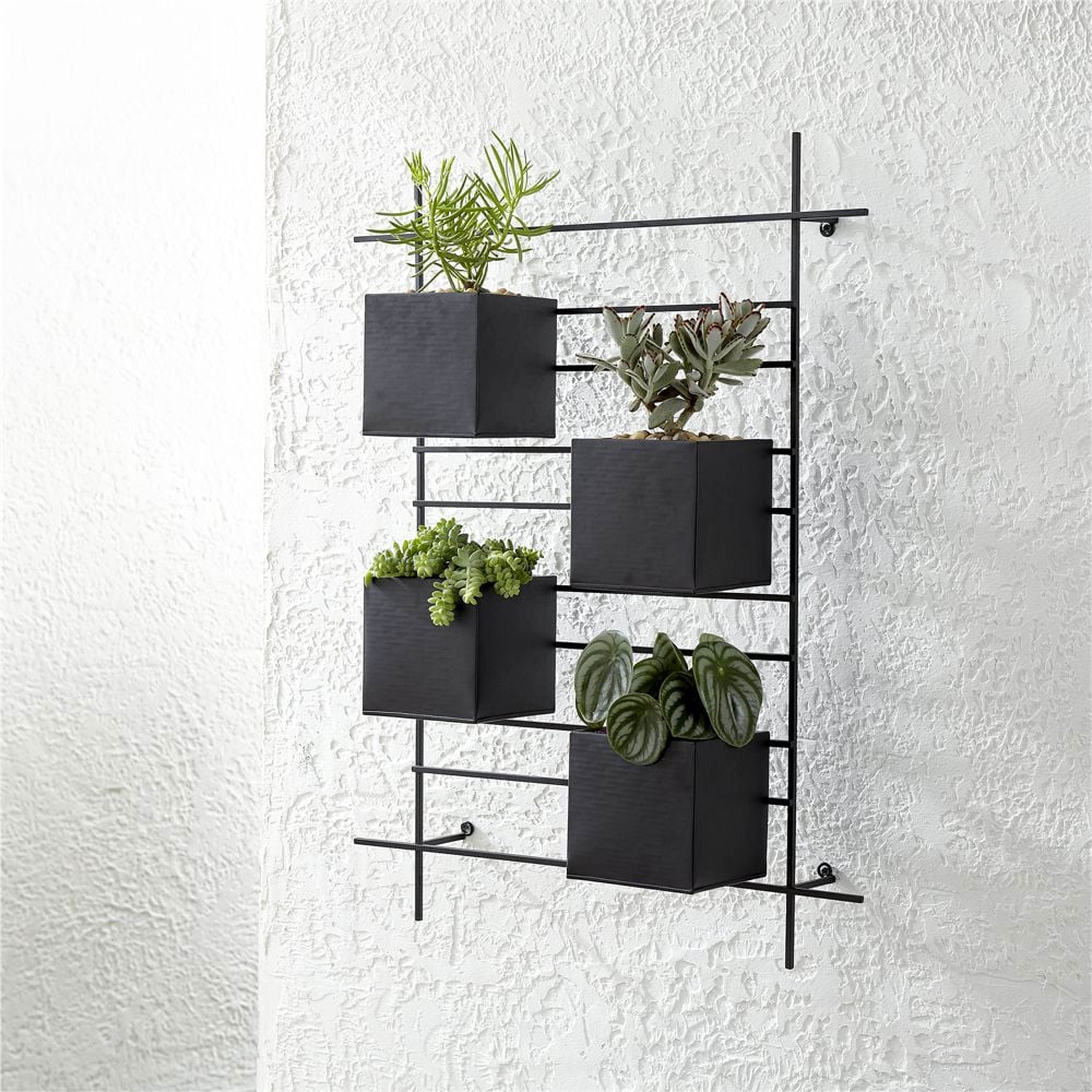 4 Box Wall Mounted Indoor/Outdoor Planter - Crate and Barrel