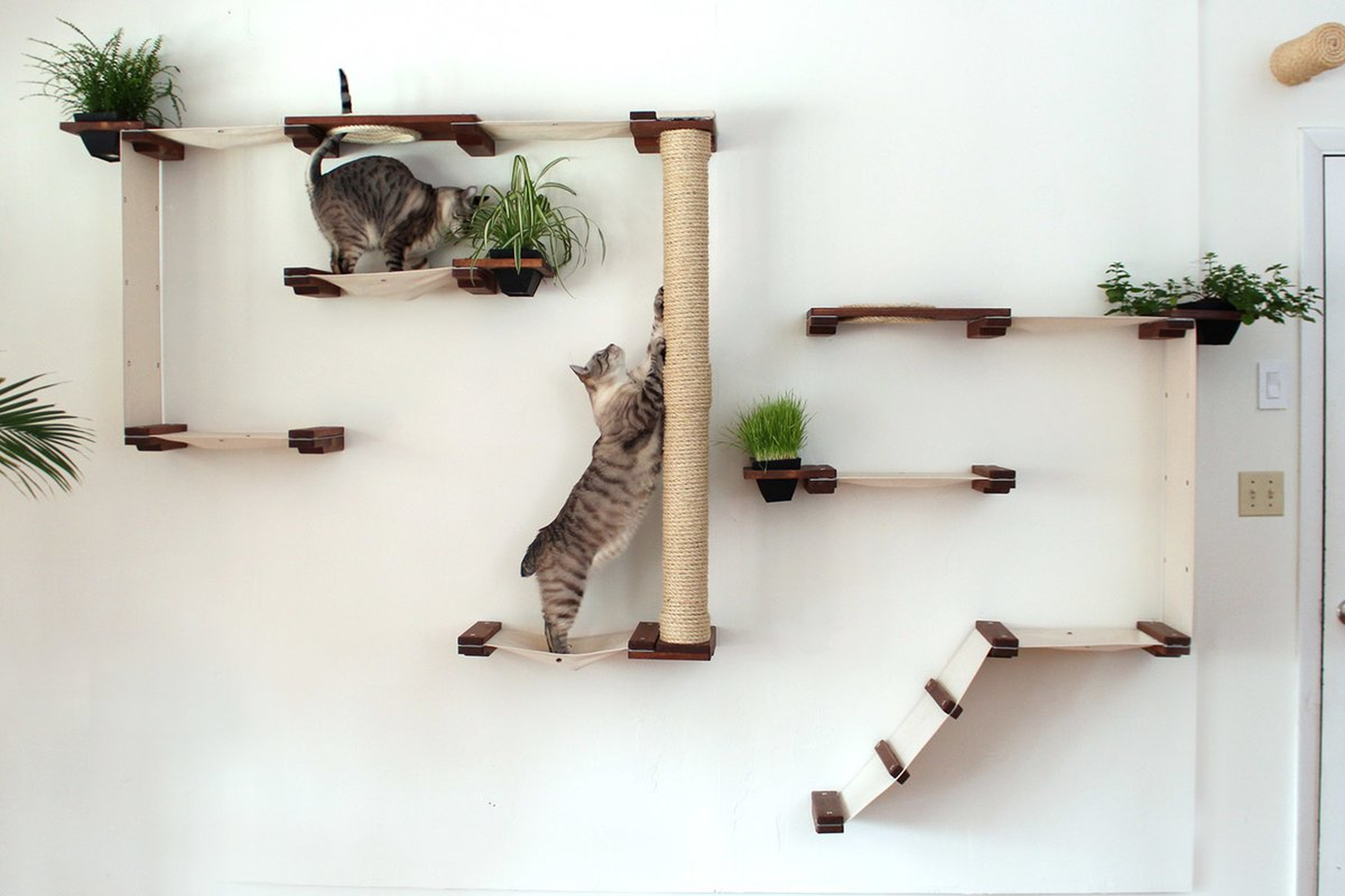 63" Multiple-level Hammock and Climbing Activity Center Wall-mounted 21 Piece Cat Tree Set - Wayfair