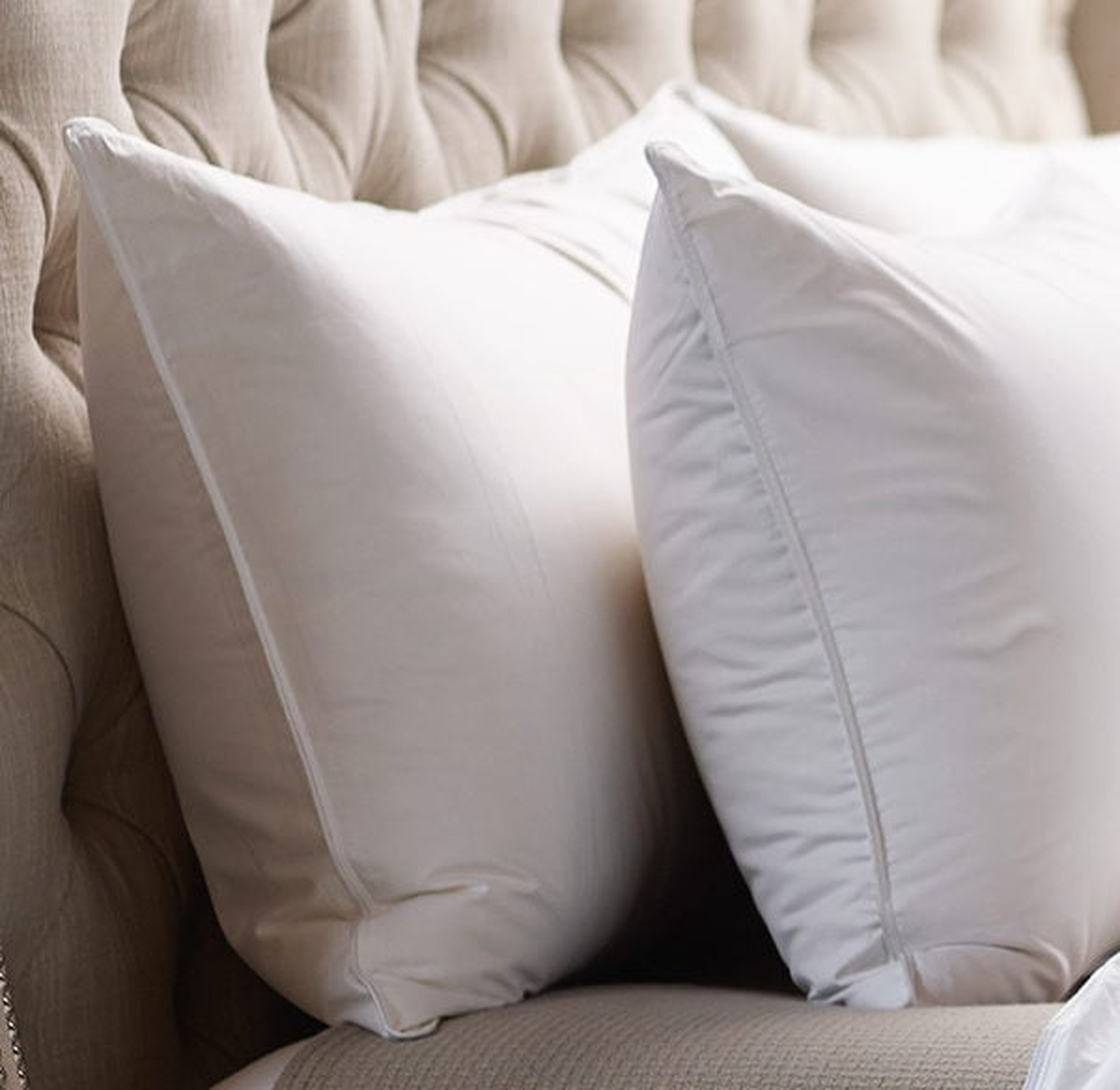 Classic 100% Down Pillow, Standard Size, Medium Firmness - Havenly Essentials