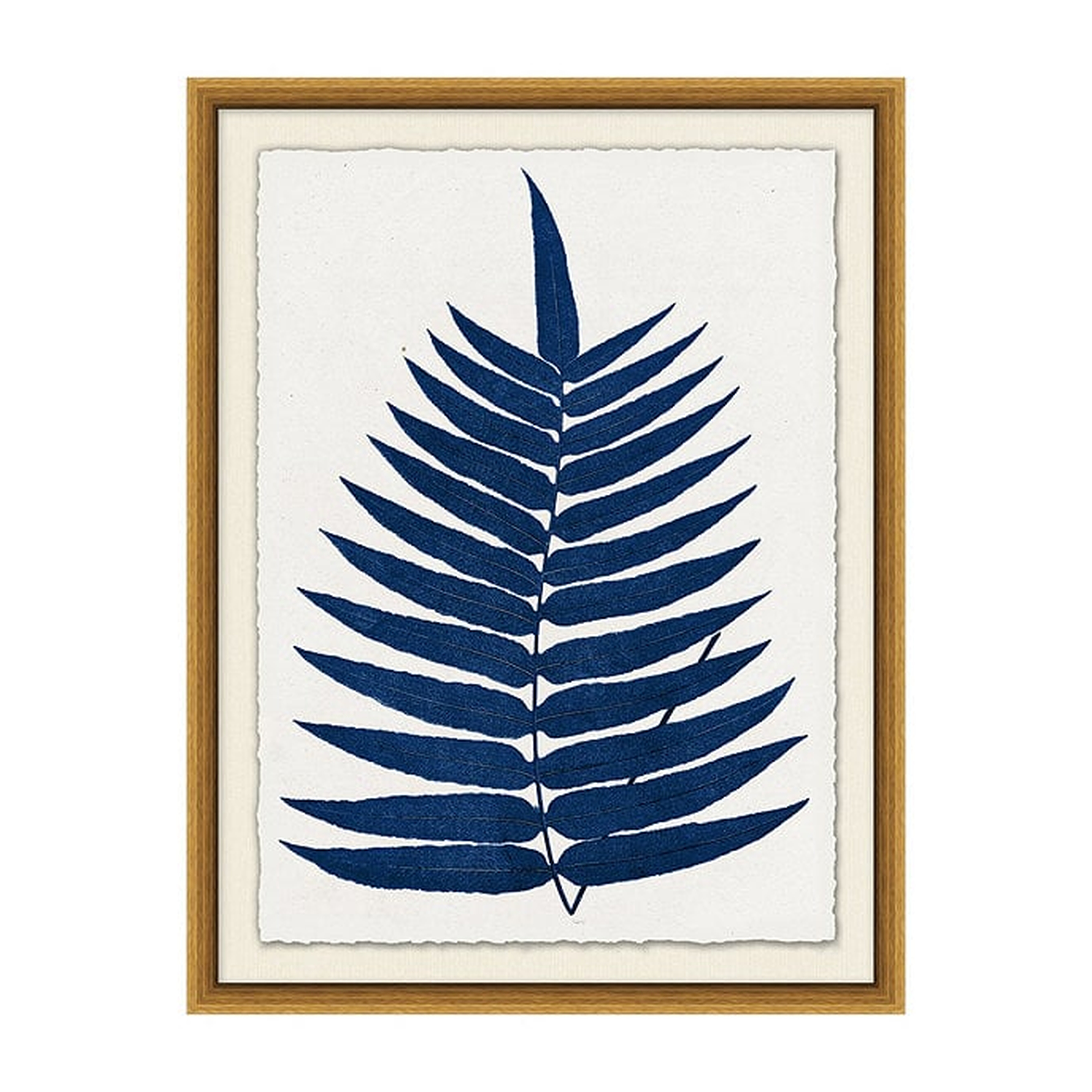 Fern Leaf Art, Print I - Ballard Designs