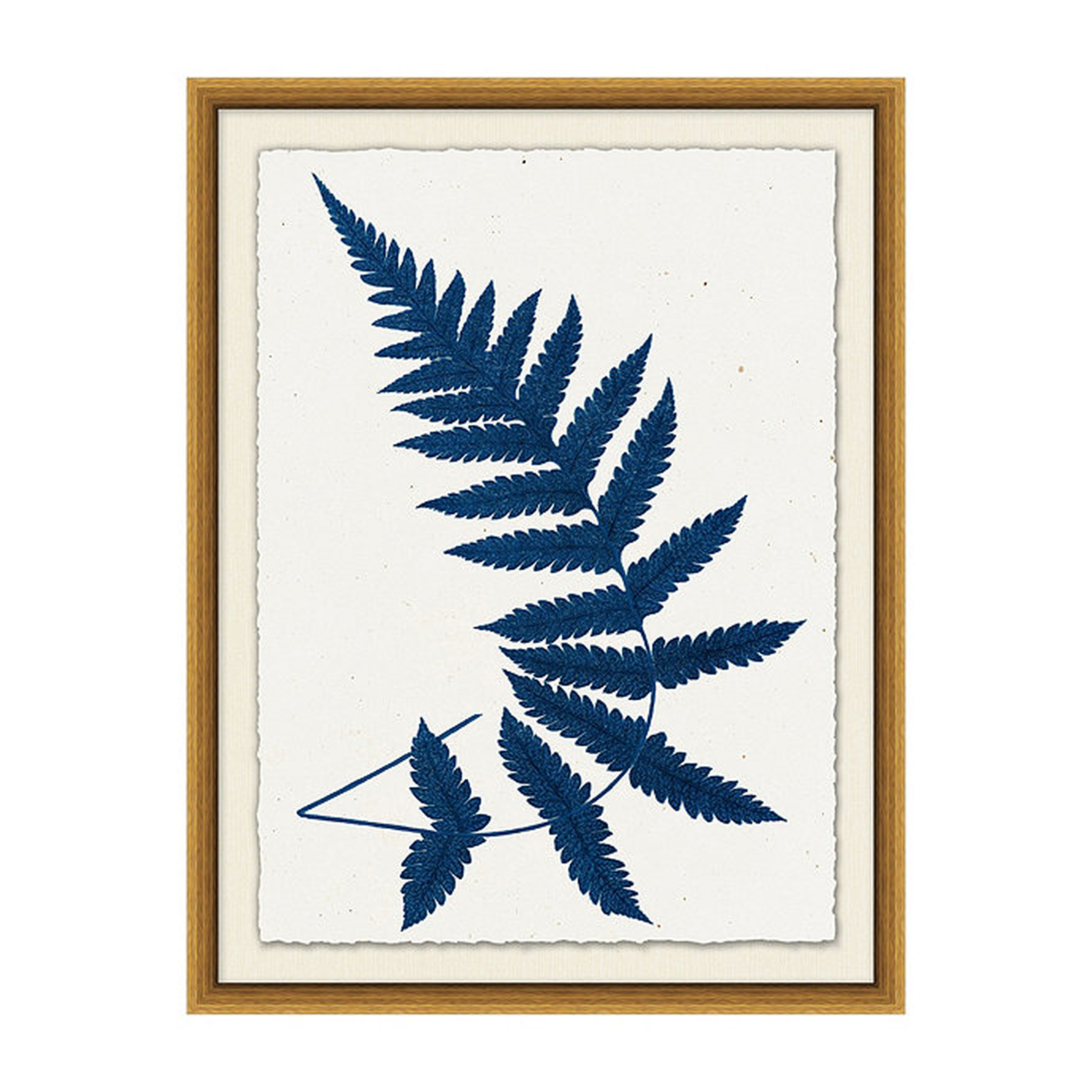 Fern Leaf Art, Print IV - Ballard Designs