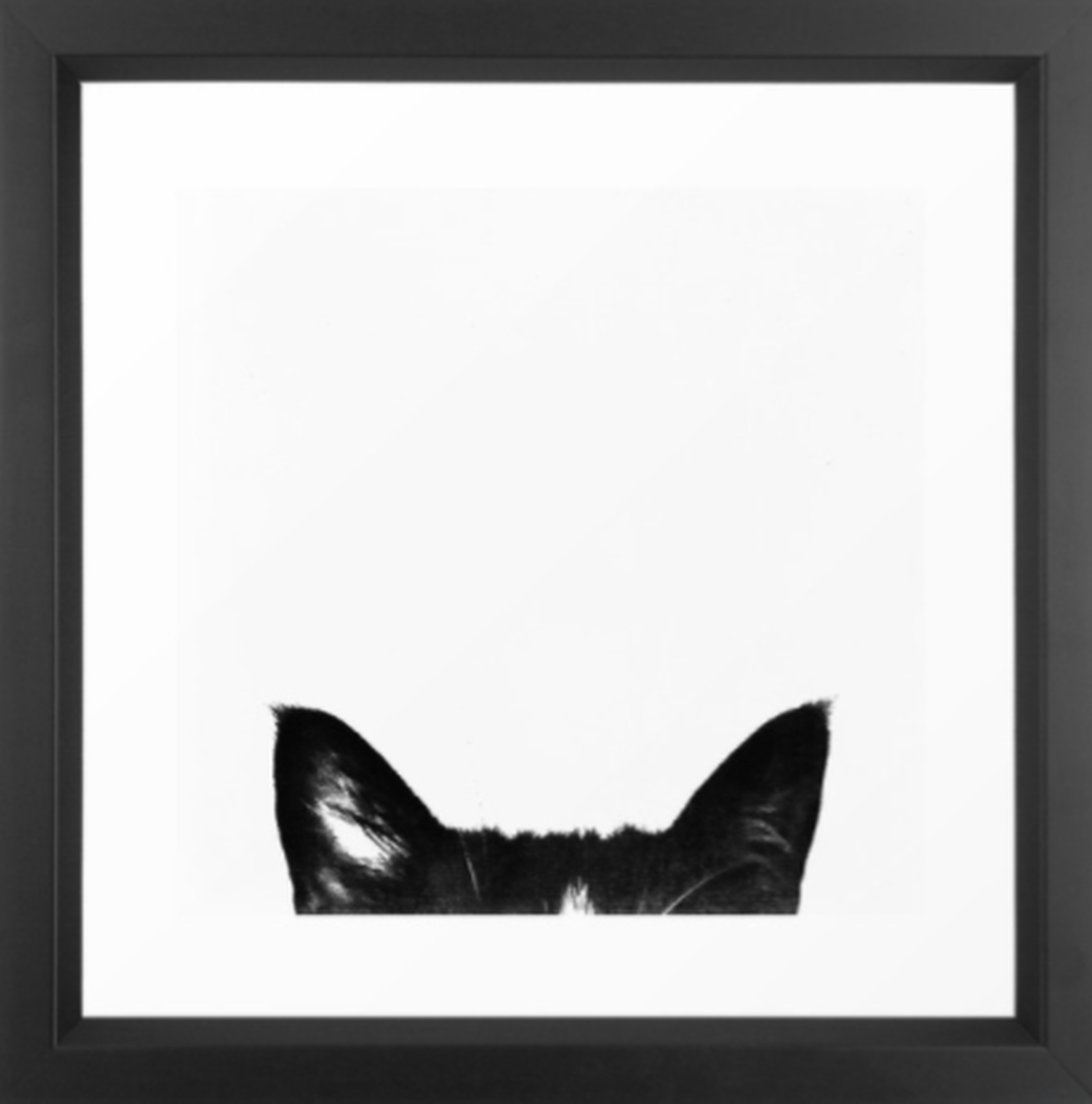 Cat Art Print - Small: 12"x12"- Vector BlackFrame - With mat - Society6