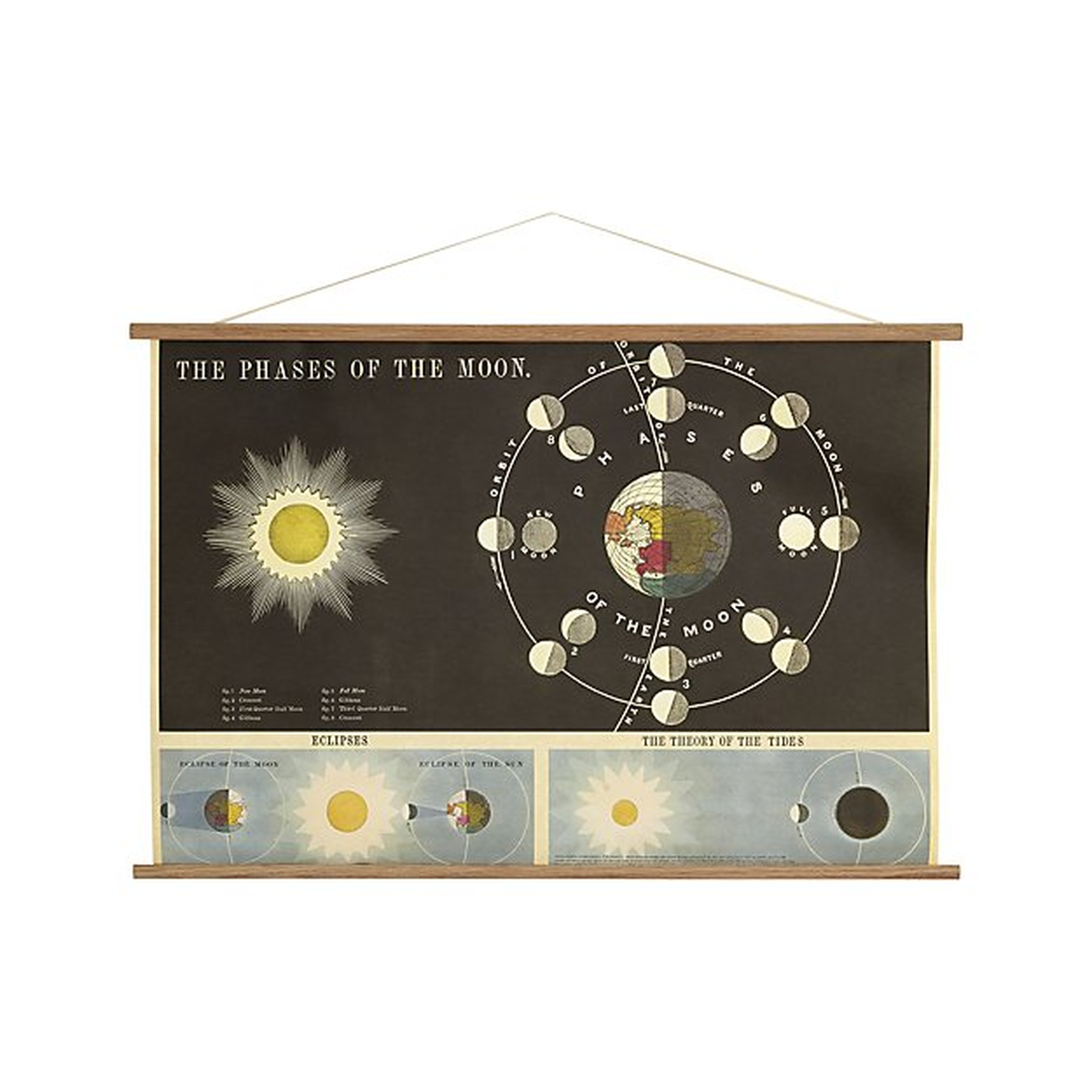 Phases of the Moon Chart - Crate and Barrel