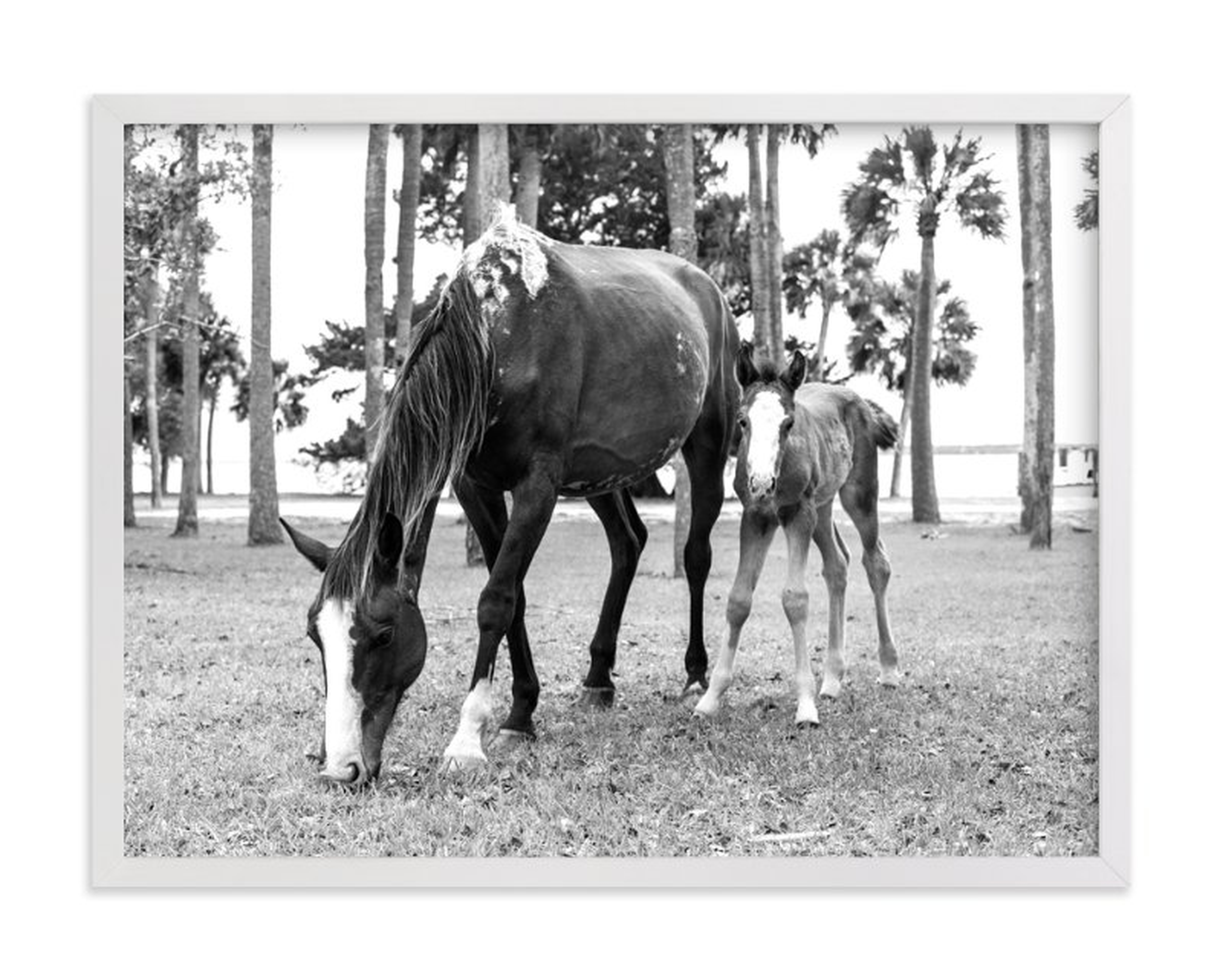 Cumberland Island Horse Love - Minted