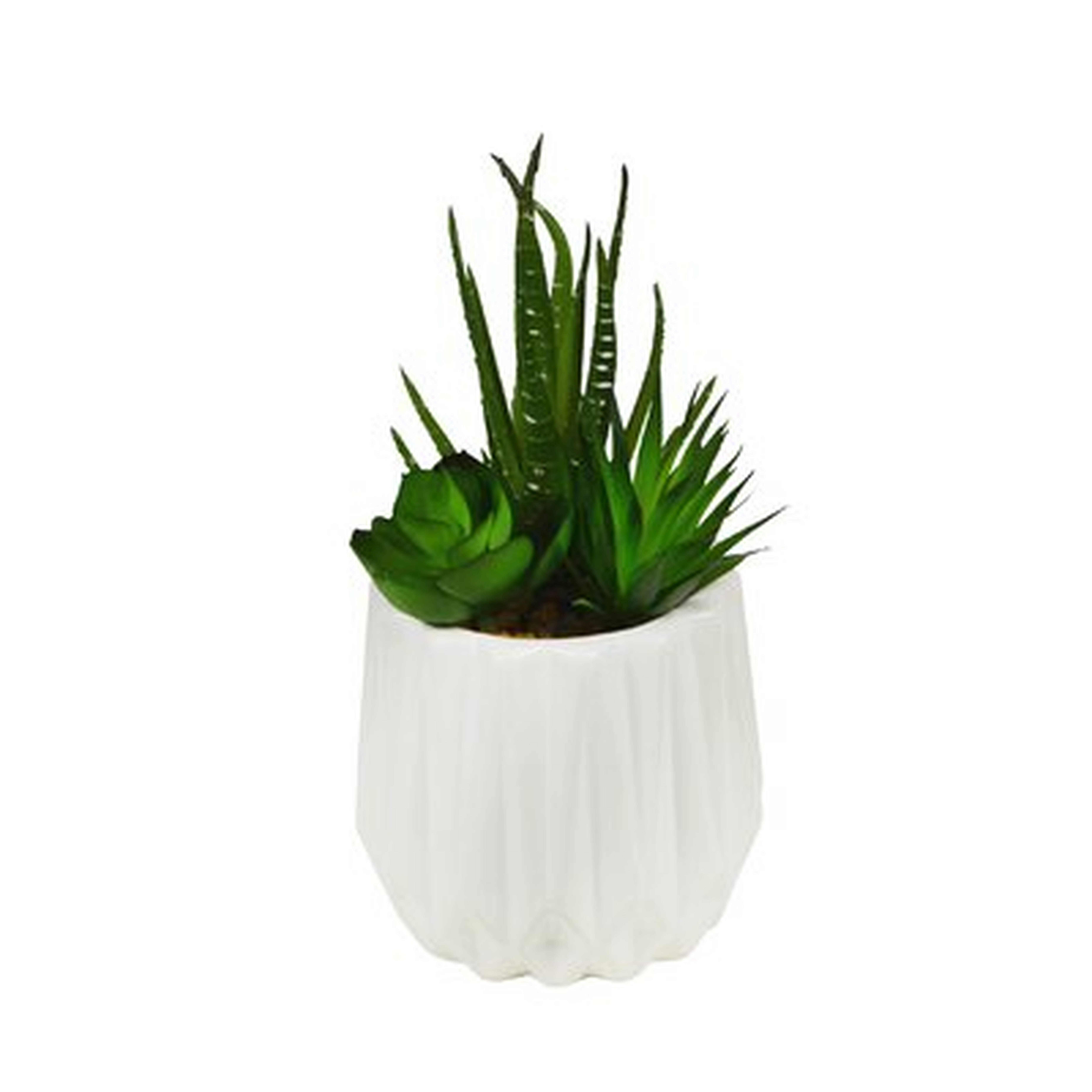 3.5'' Artificial Aloe Succulent in Decorative Vase - Wayfair