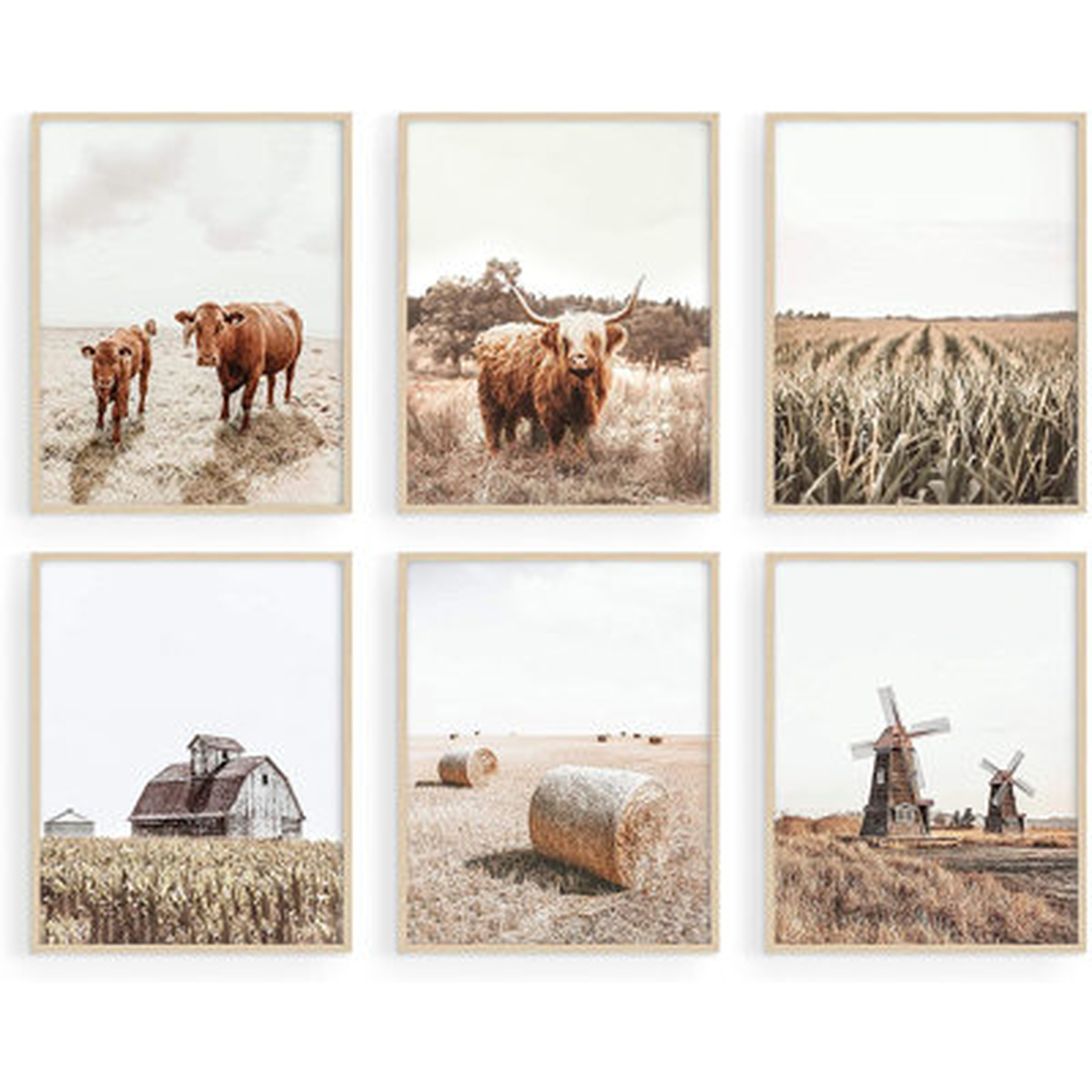 Highland Cow Art And Farmhouse Wall Decor | Cow Wall Art And Farmhouse Prints Unframed, Cow Painting, Cow Prints Wall Art, Farm Pictures Wall Decor, Cow Wall Decor - Wayfair