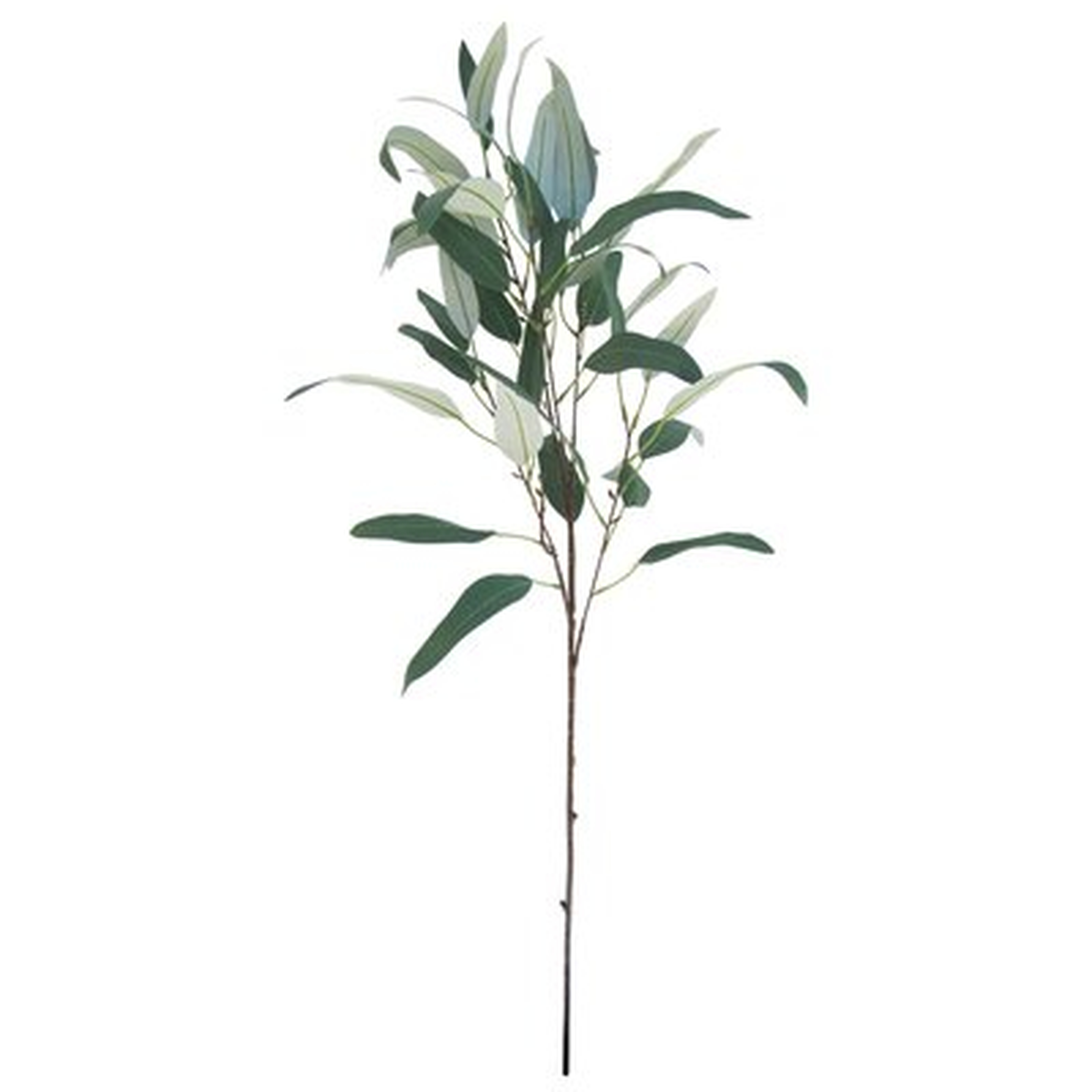38" Artificial Eucalyptus Branch (Set of 2) - Wayfair