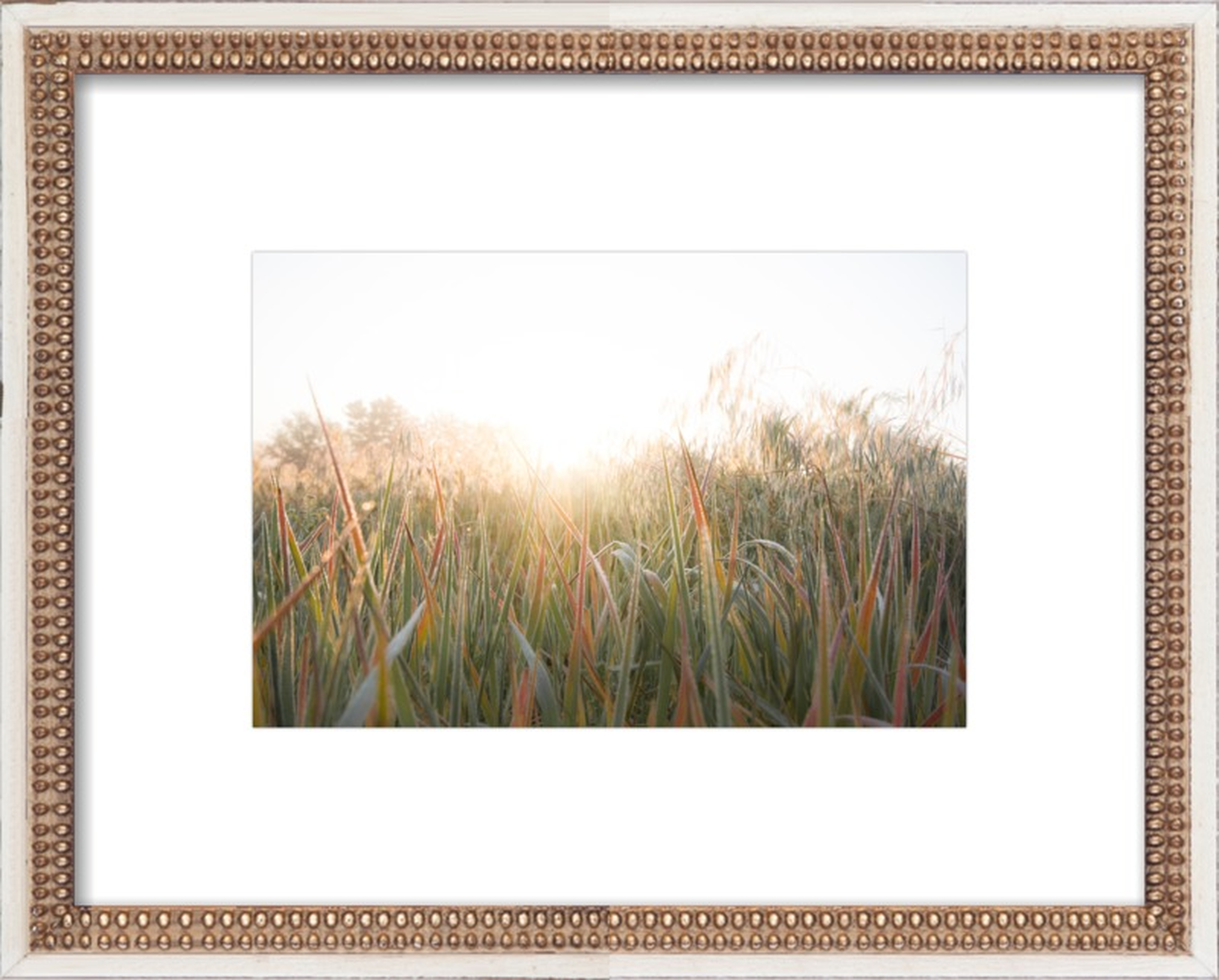 Wild Grasses by Amy Kimball for Artfully Walls, Photo Paper, Print, 20" x 16" - Artfully Walls