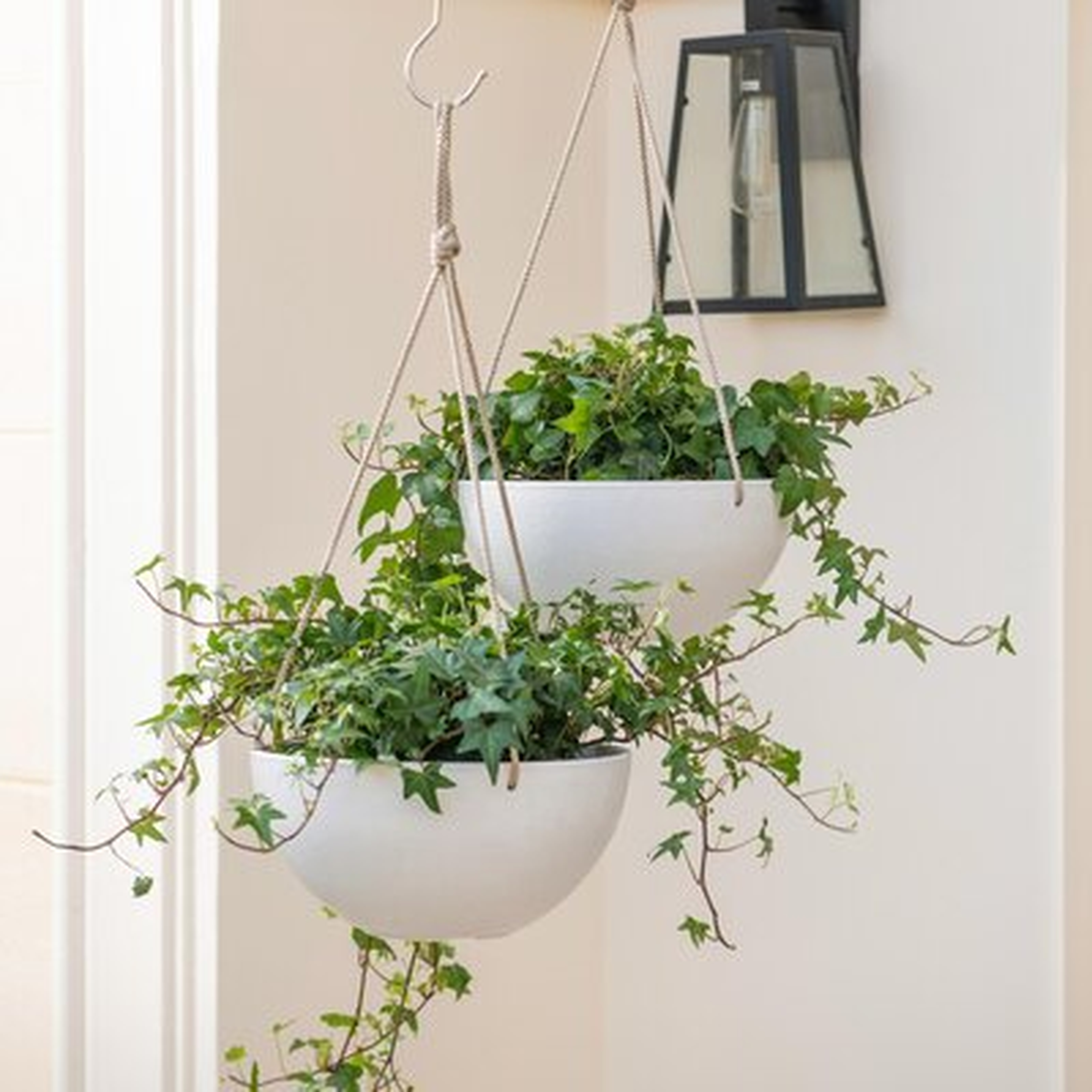 Nova 2-Piece Hanging Planter Set - Wayfair