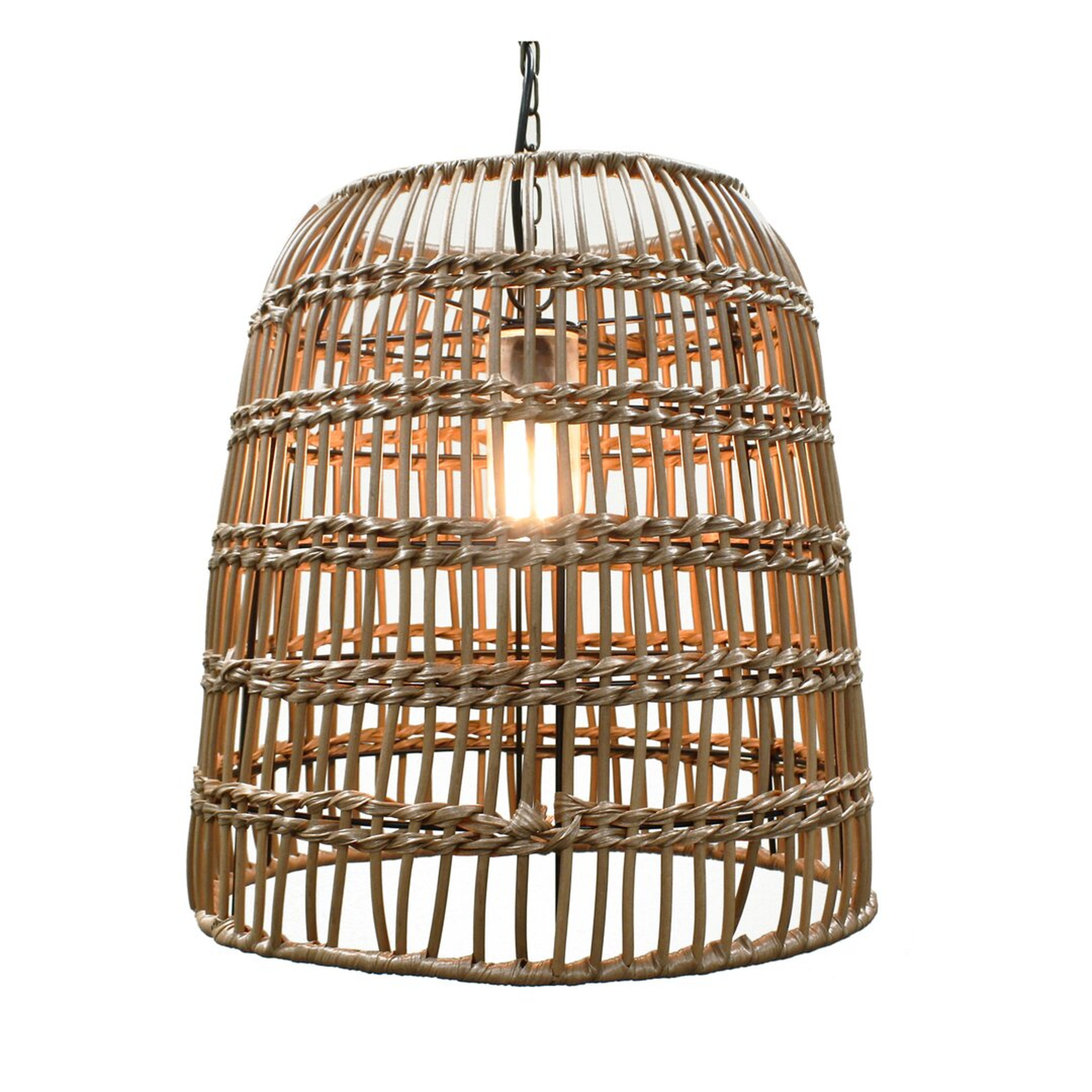 Inspired Visions Cayman Wicker 1 -Bulb 22"" H Plug-In Outdoor Pendant - Perigold