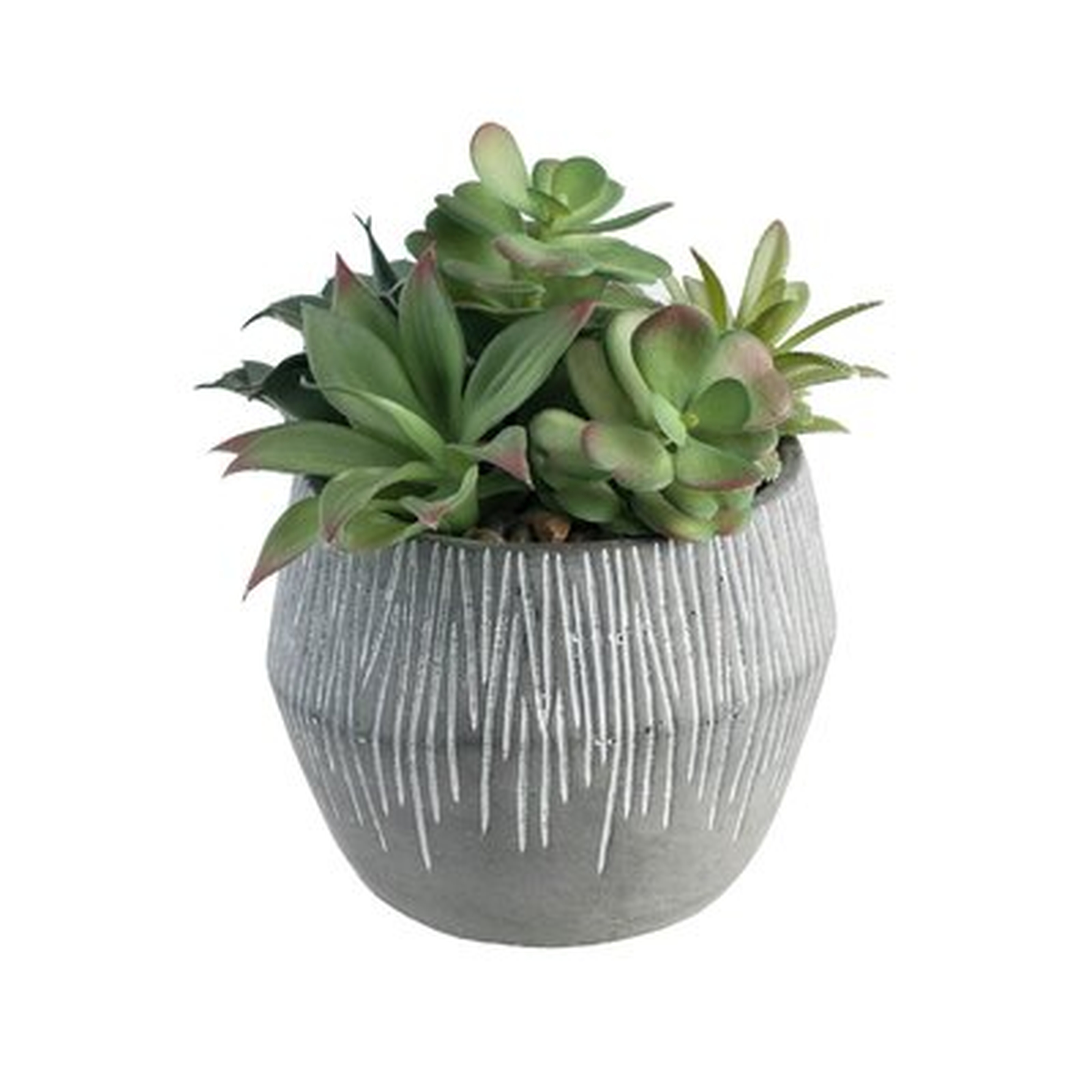 4.75'' Artificial Succulent in Pot ( 8.75'' H x 8.5'' W x 8.5'' D) - Wayfair