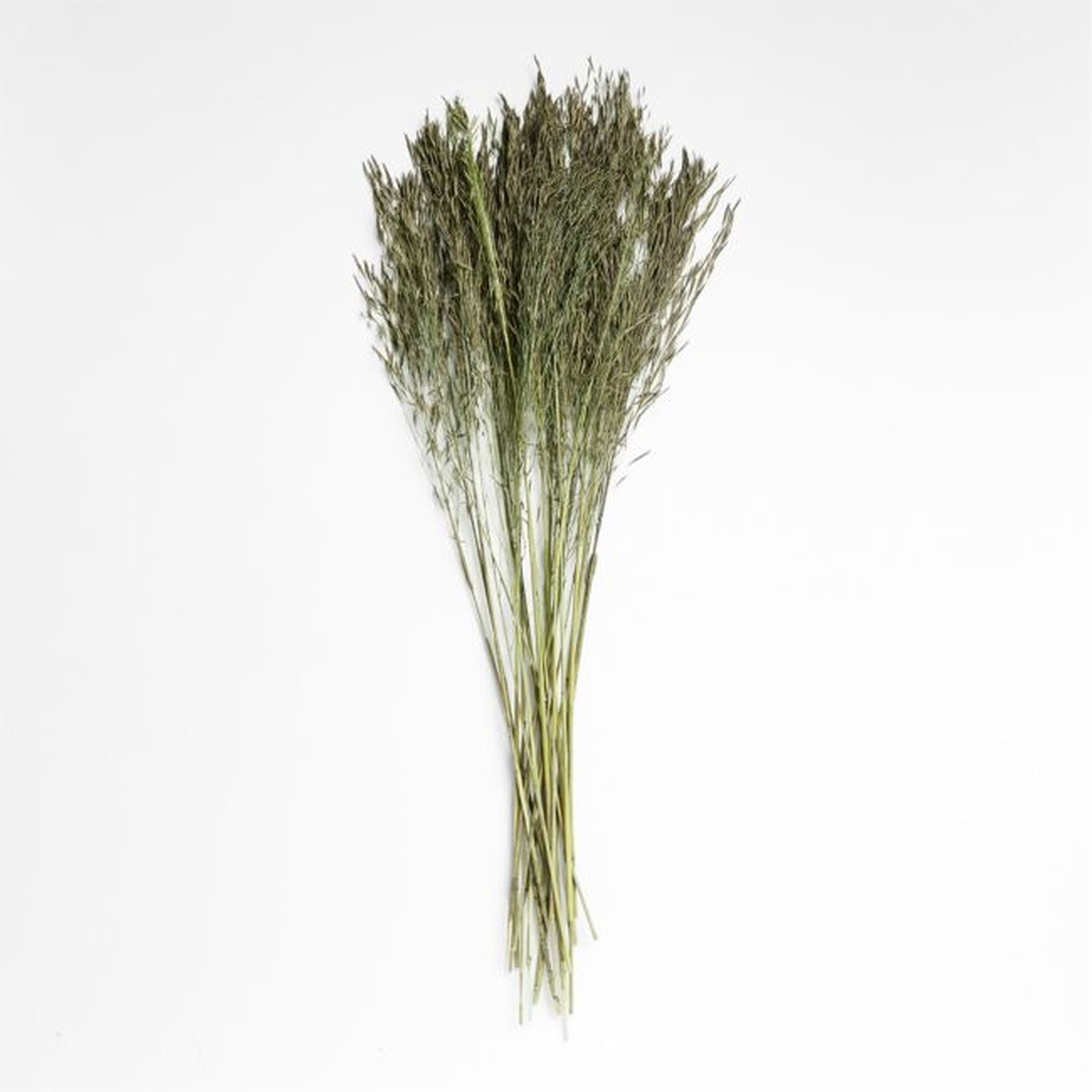 Sage Green Chorao Decorative Dried Grass Bunch - Crate and Barrel