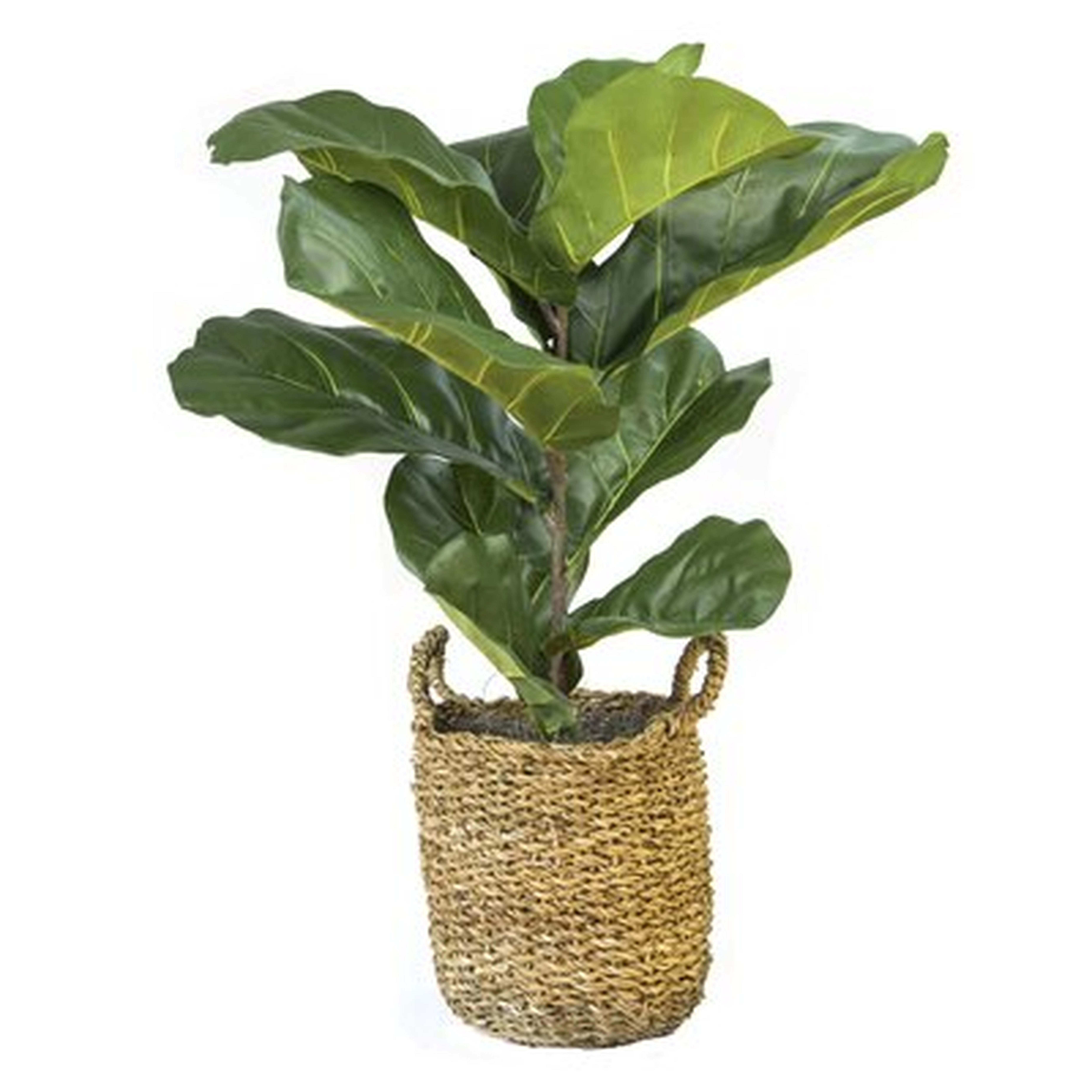 36" Artificial Fiddle Leaf Fig Plant in Basket - Wayfair