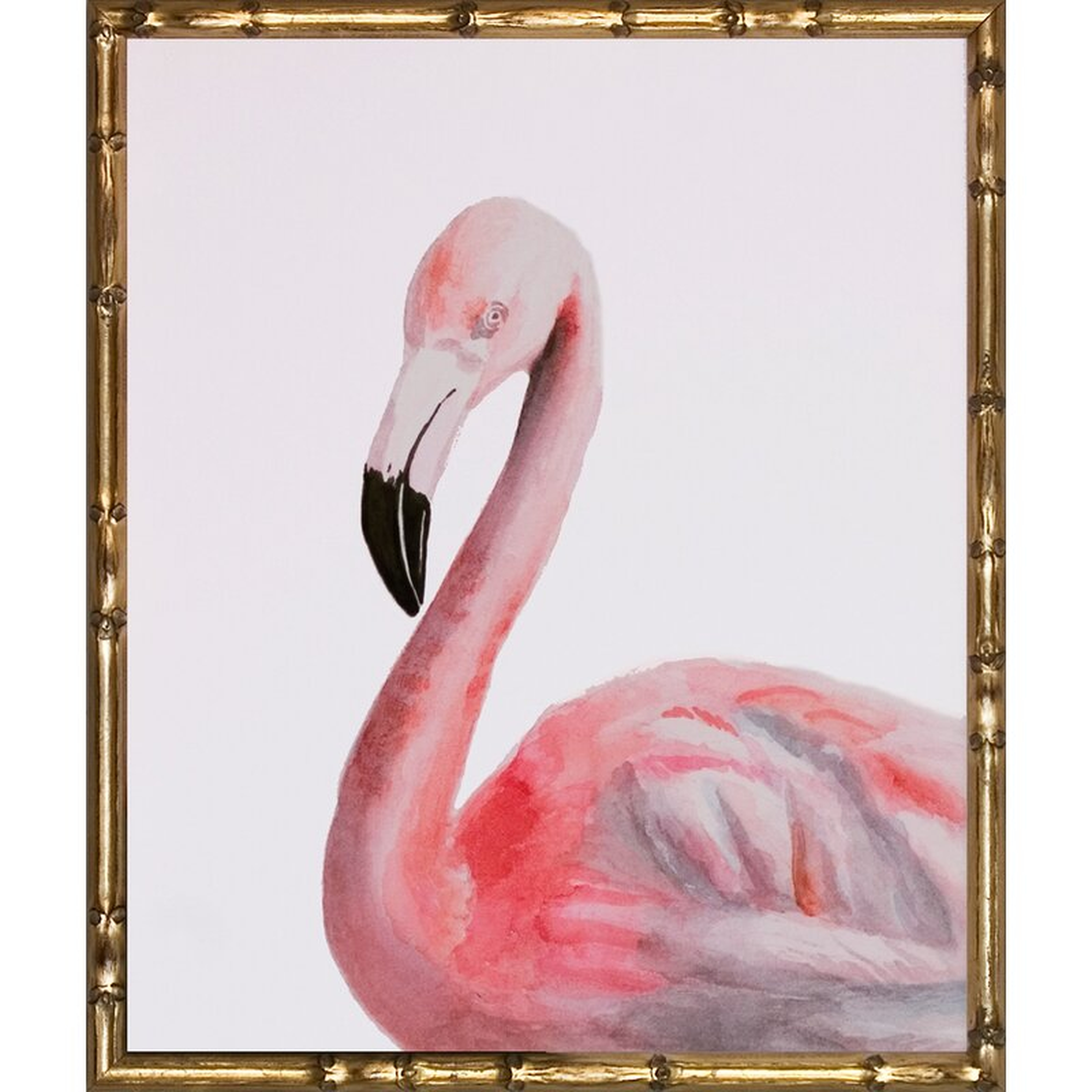 Art Virtuoso Watercolor Birds by Naomi McCavitt - Picture Frame Painting - Perigold